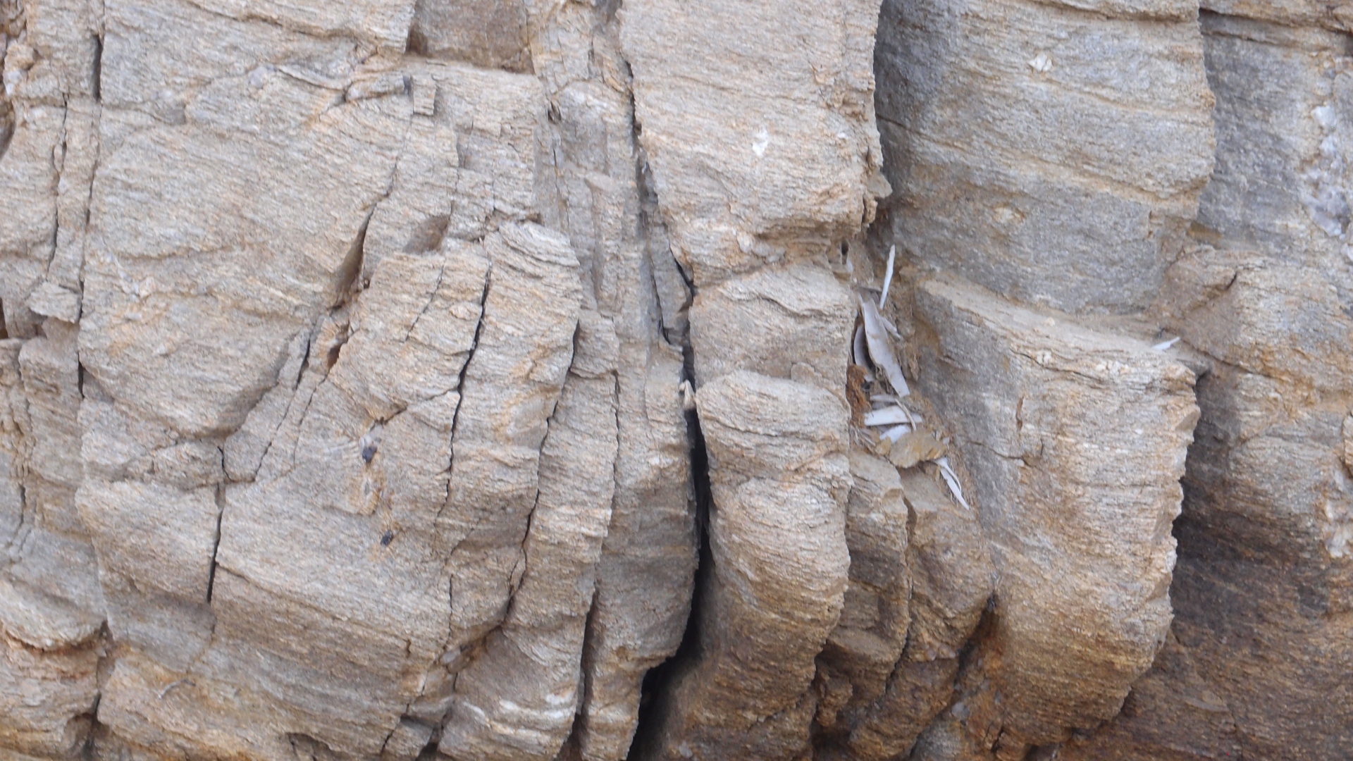 2021-09-18 01 am Hausstrand (Fieldrecording, Foto, Video)