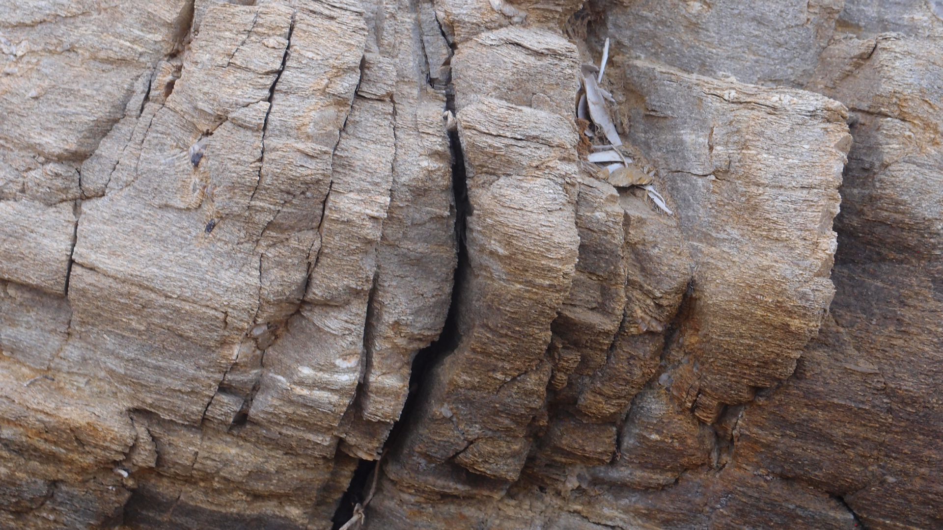 2021-09-18 01 am Hausstrand (Fieldrecording, Foto, Video)