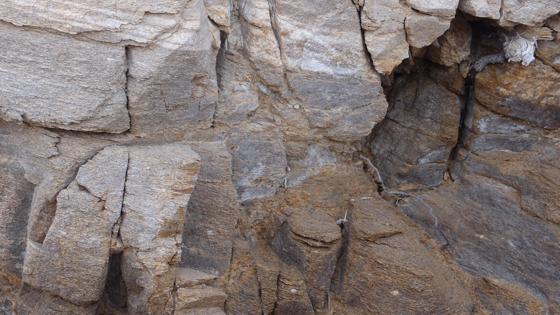 2021-09-18 01 am Hausstrand (Fieldrecording, Foto, Video)