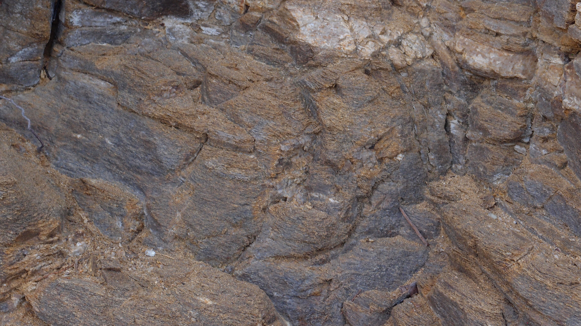 2021-09-18 01 am Hausstrand (Fieldrecording, Foto, Video)