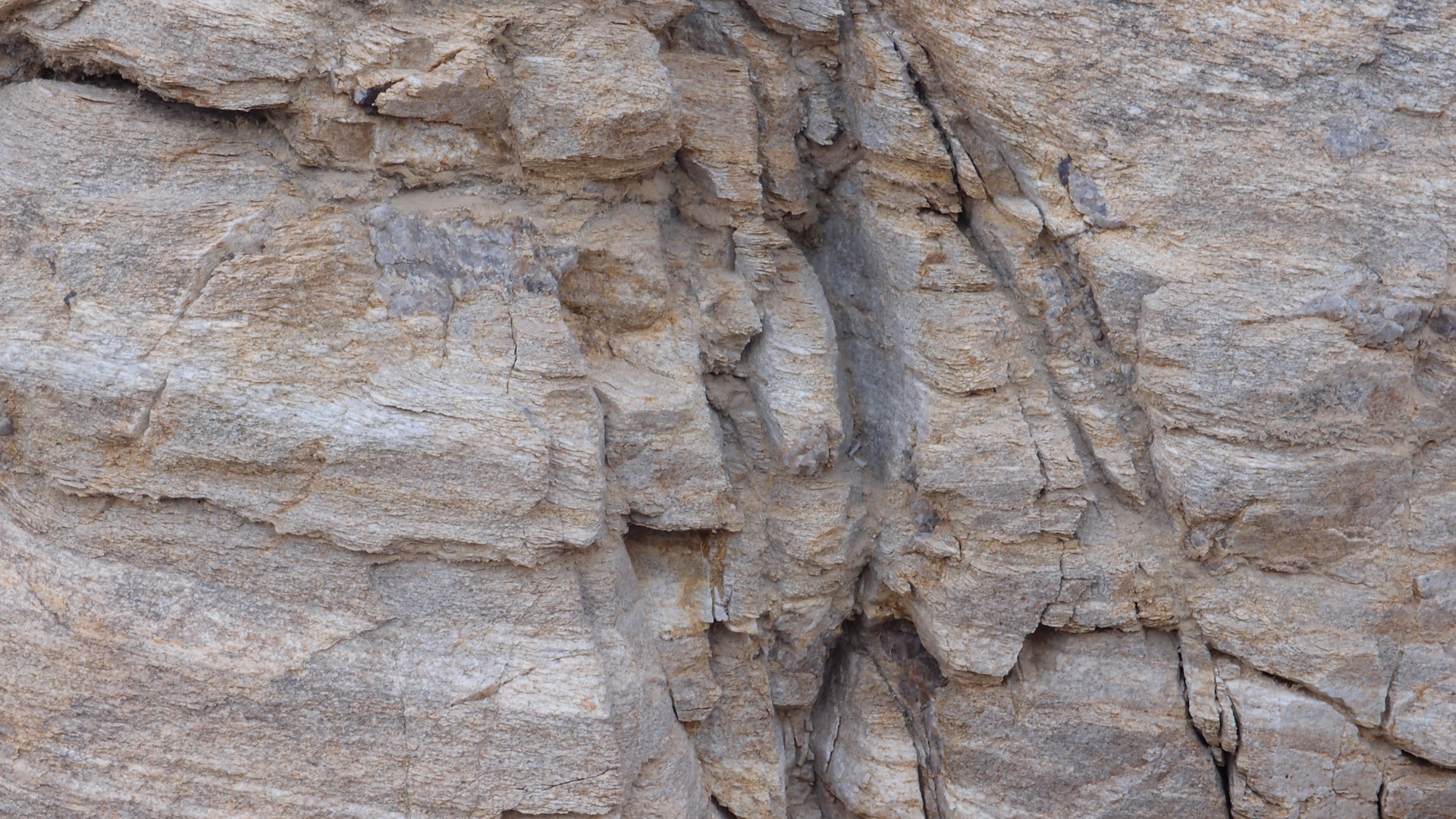 2021-09-18 01 am Hausstrand (Fieldrecording, Foto, Video)