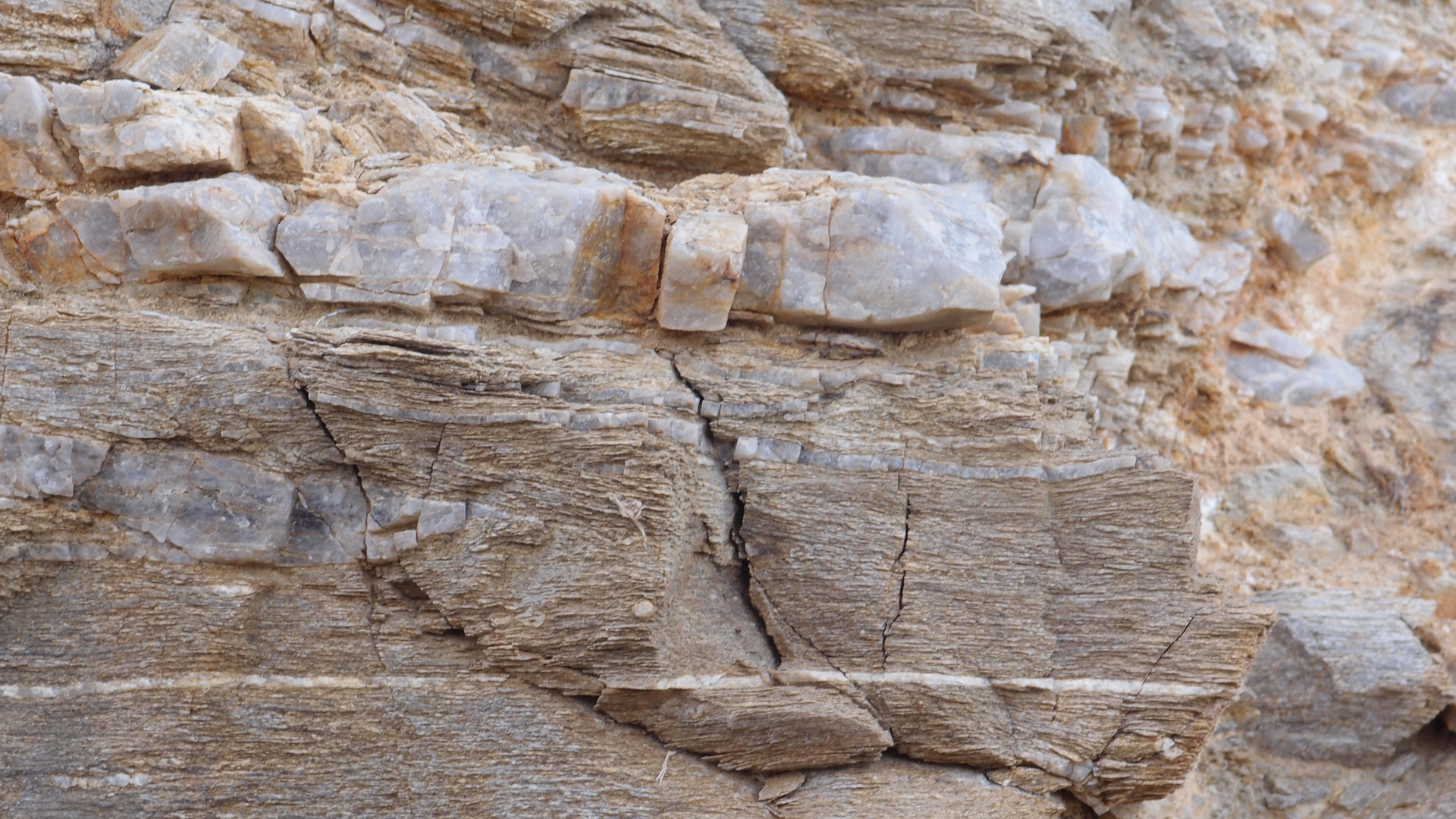 2021-09-18 01 am Hausstrand (Fieldrecording, Foto, Video)