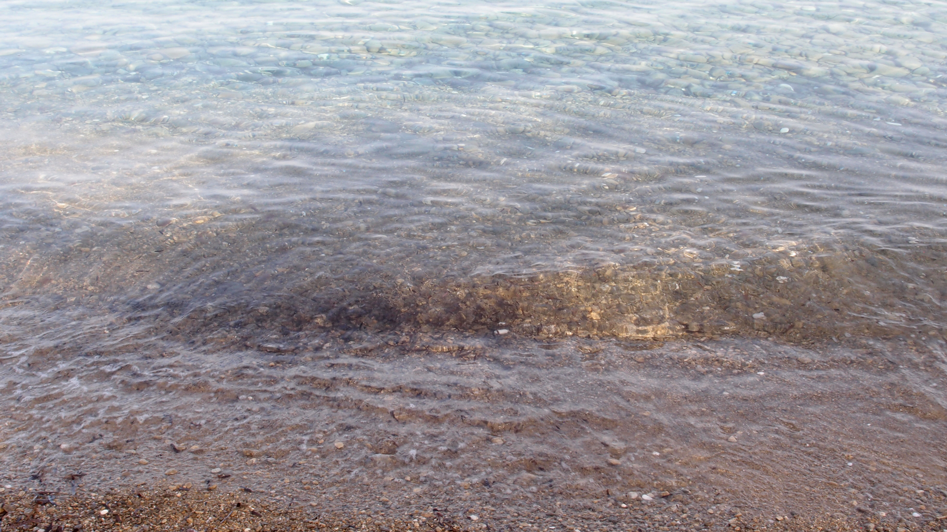 2021-09-18 01 am Hausstrand (Fieldrecording, Foto, Video)