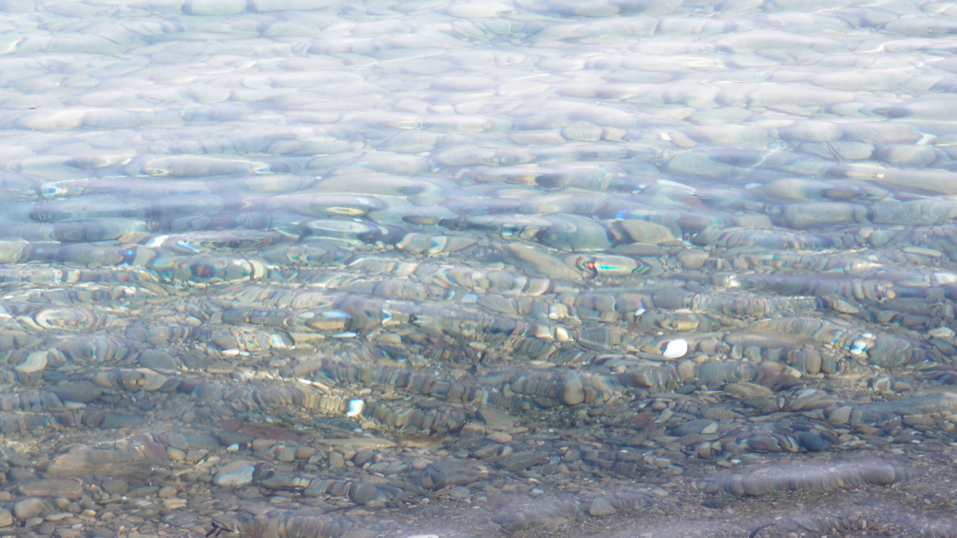 2021-09-18 01 am Hausstrand (Fieldrecording, Foto, Video)