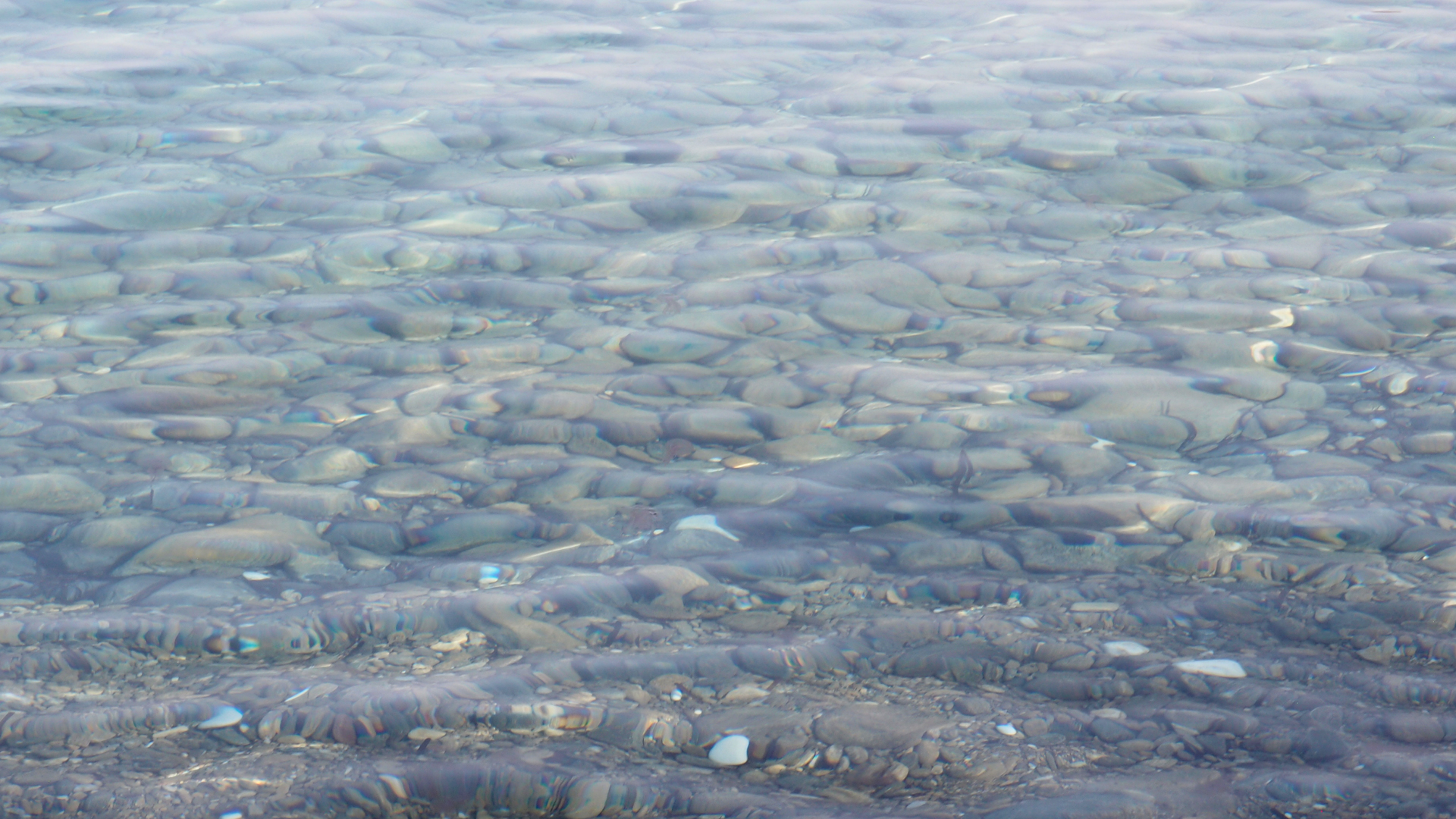 2021-09-18 01 am Hausstrand (Fieldrecording, Foto, Video)