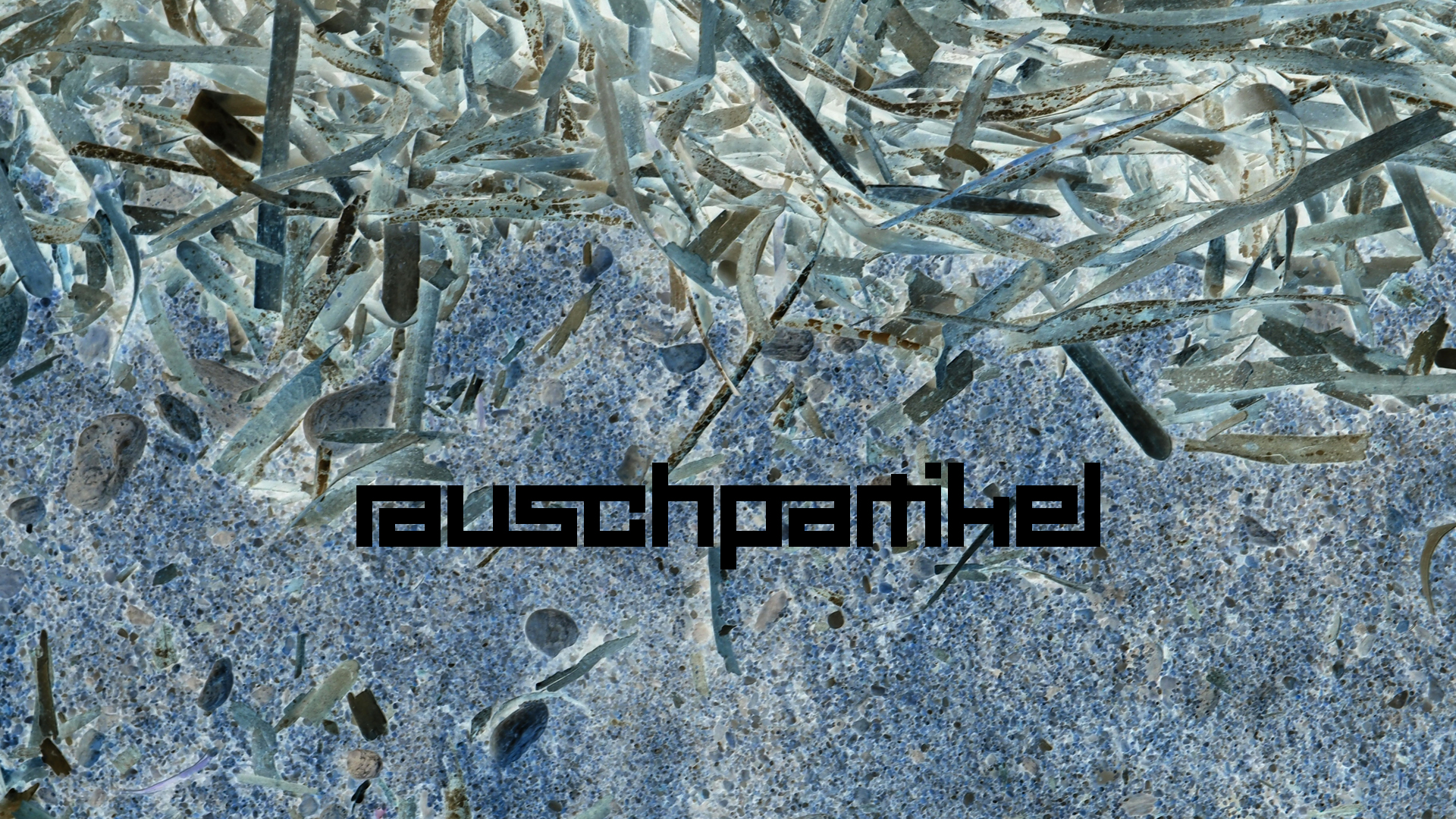 2021-09-18 01 am Hausstrand (Fieldrecording, Foto, Video)