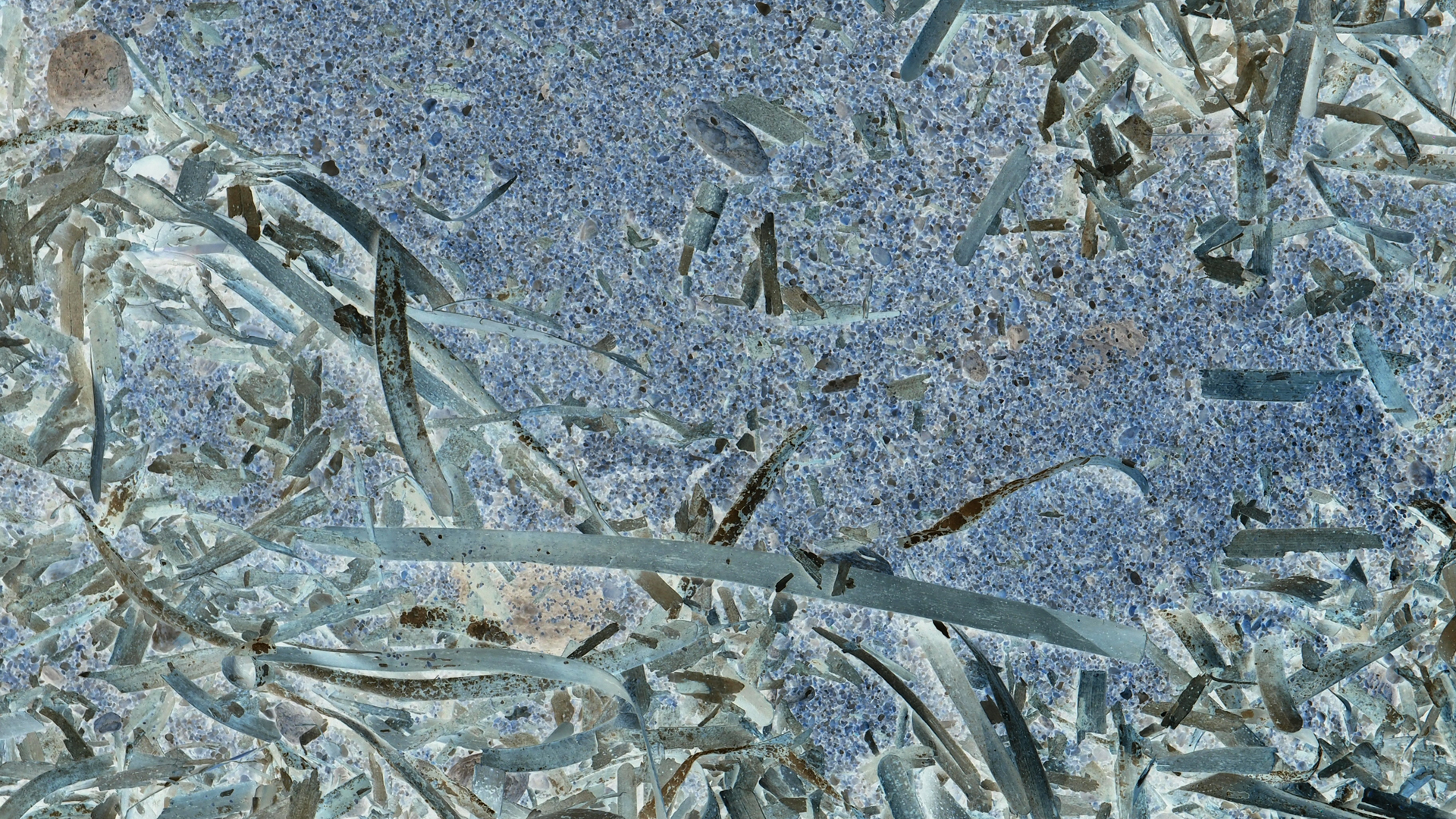 2021-09-18 01 am Hausstrand (Fieldrecording, Foto, Video)