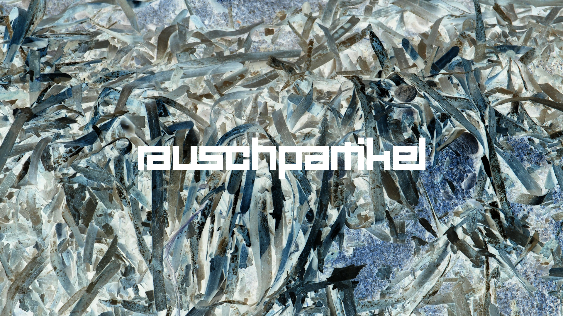 2021-09-18 01 am Hausstrand (Fieldrecording, Foto, Video)