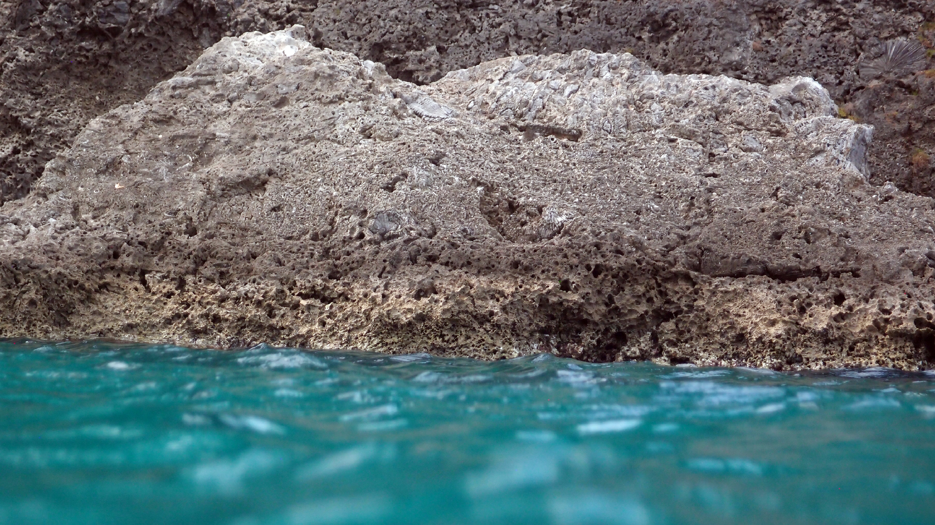 2022-04-14 02 Am Strand und im Wasser (Quallenvideo) (Foto, Video)