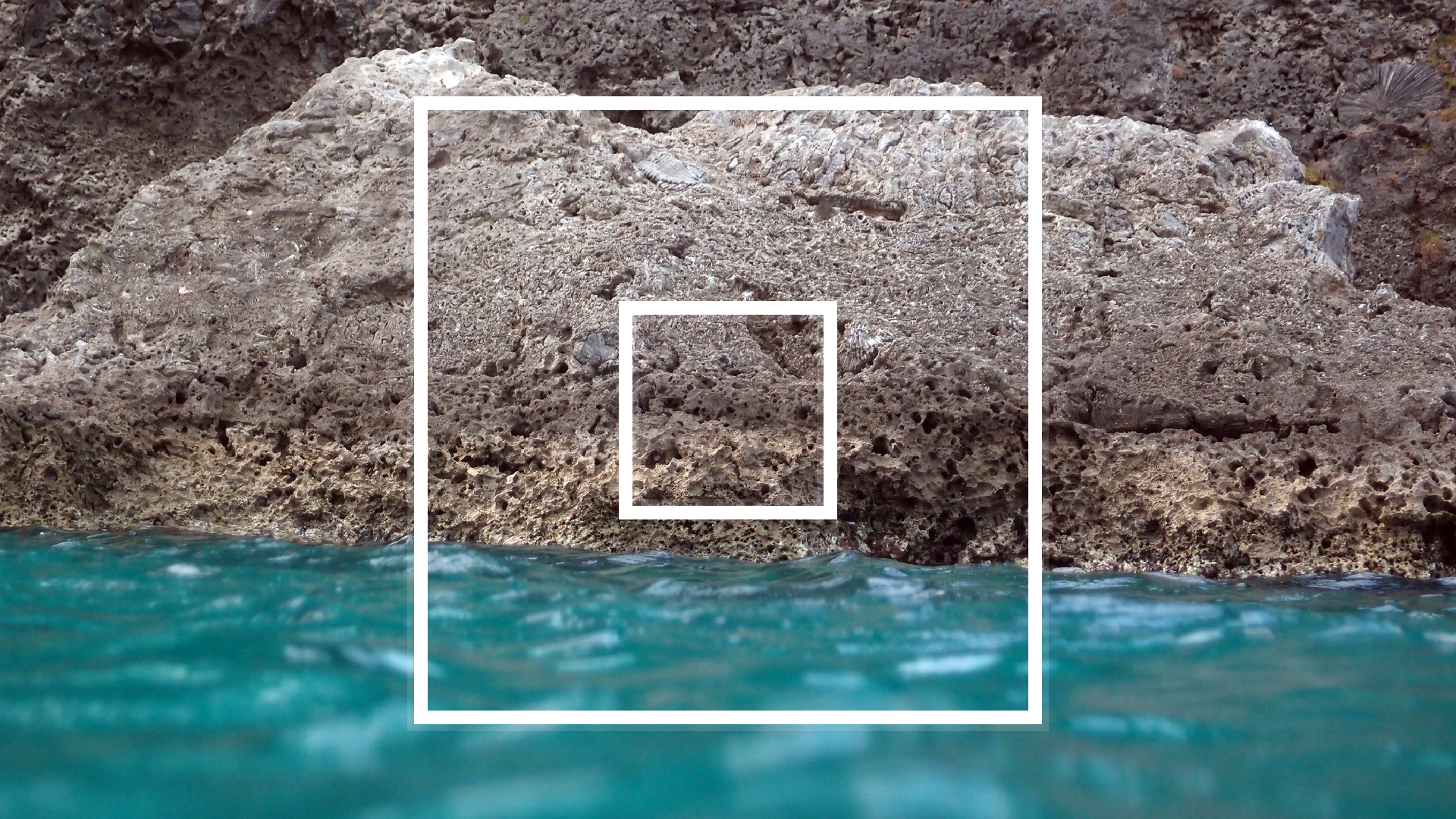 2022-04-14 02 Am Strand und im Wasser (Quallenvideo) (Foto, Video)