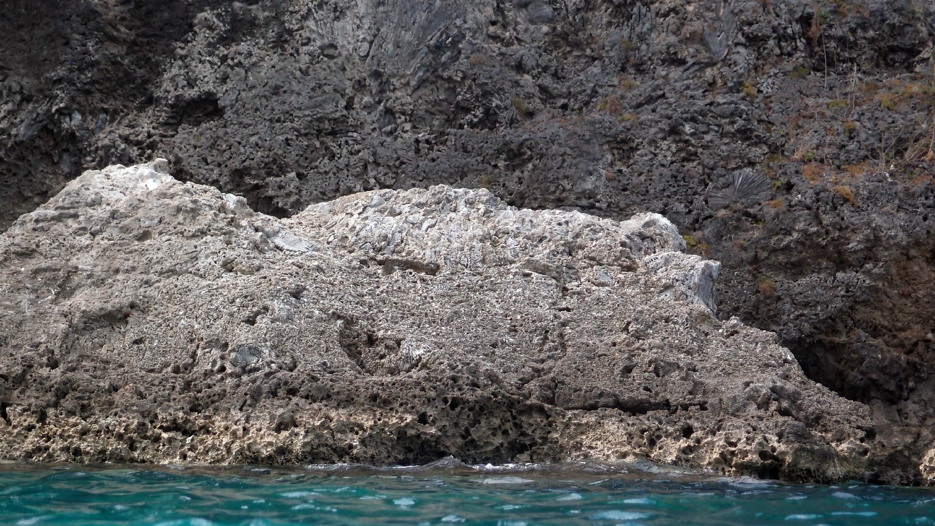 2022-04-14 02 Am Strand und im Wasser (Quallenvideo) (Foto, Video)