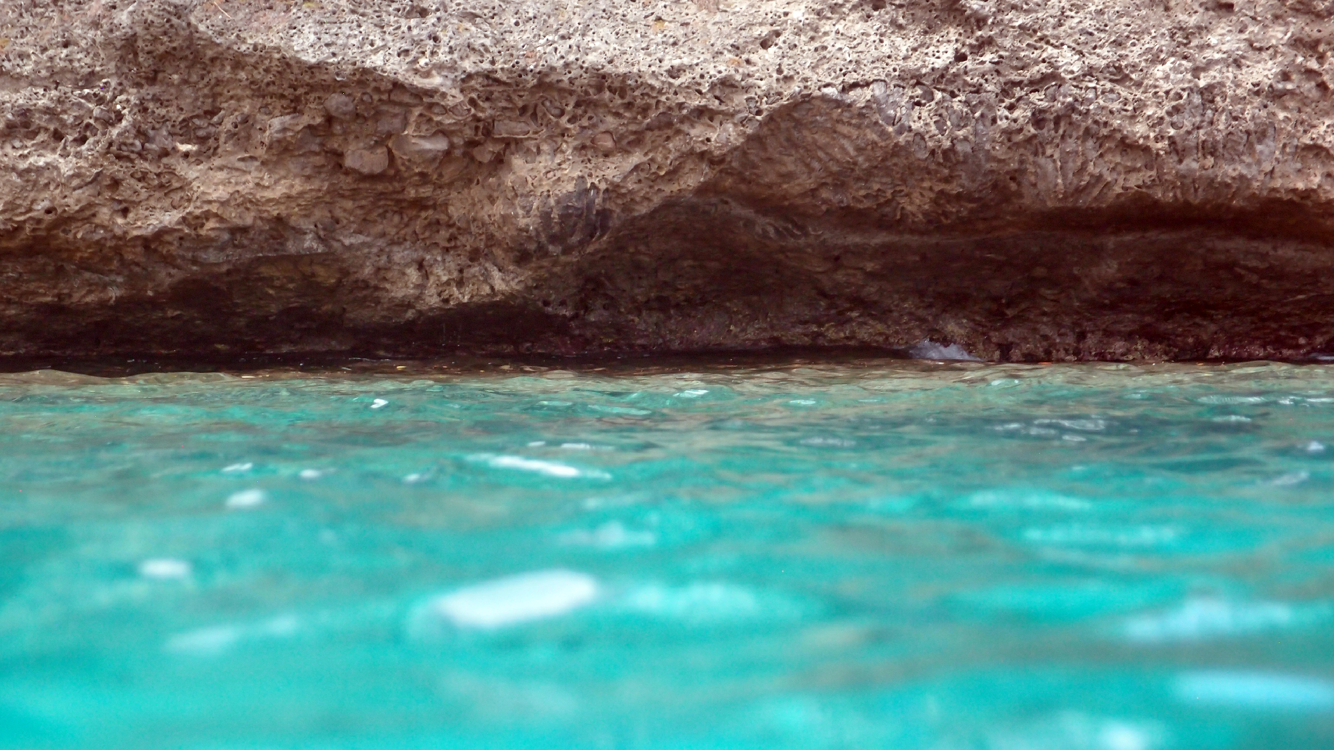 2022-04-14 02 Am Strand und im Wasser (Quallenvideo) (Foto, Video)