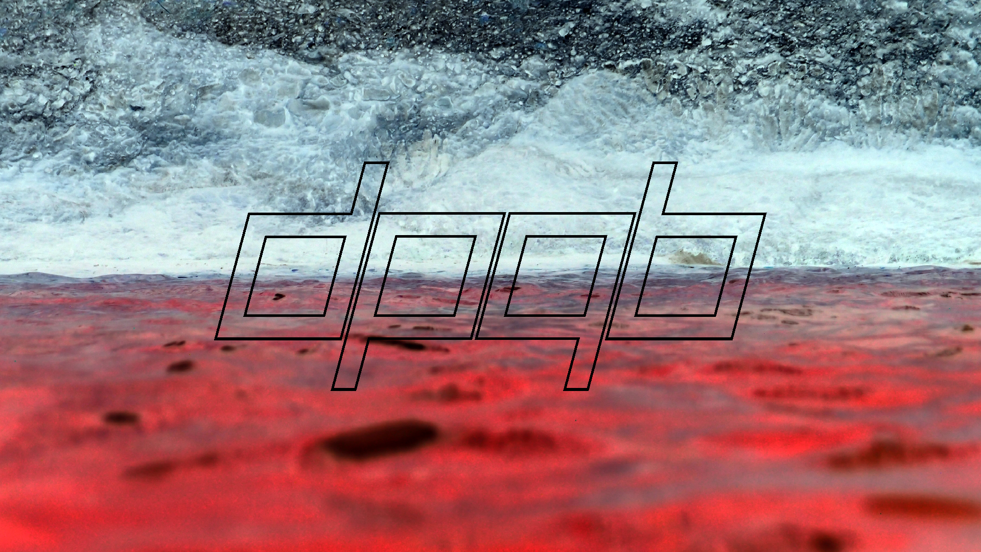 2022-04-14 02 Am Strand und im Wasser (Quallenvideo) (Foto, Video)