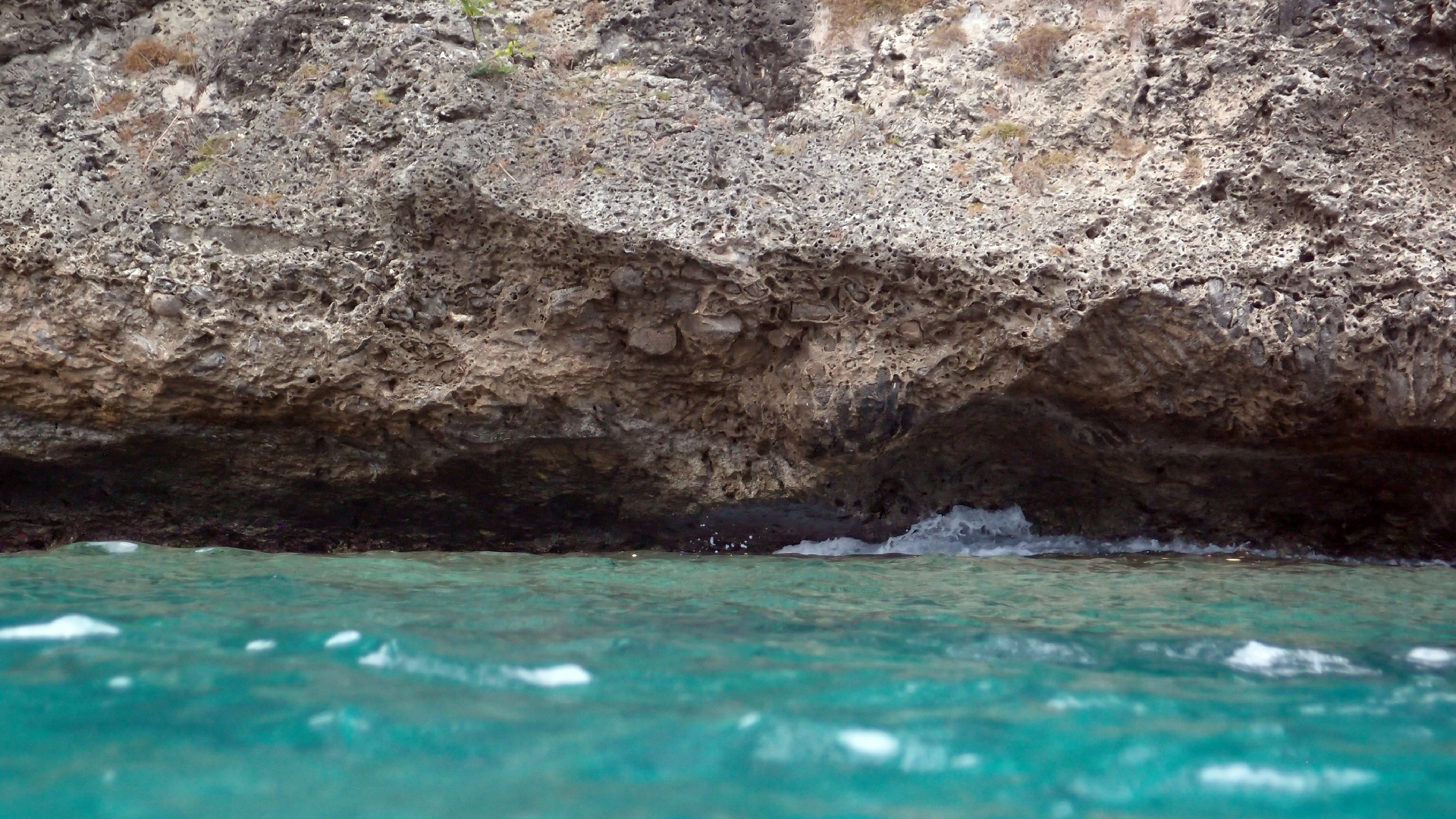 2022-04-14 02 Am Strand und im Wasser (Quallenvideo) (Foto, Video)