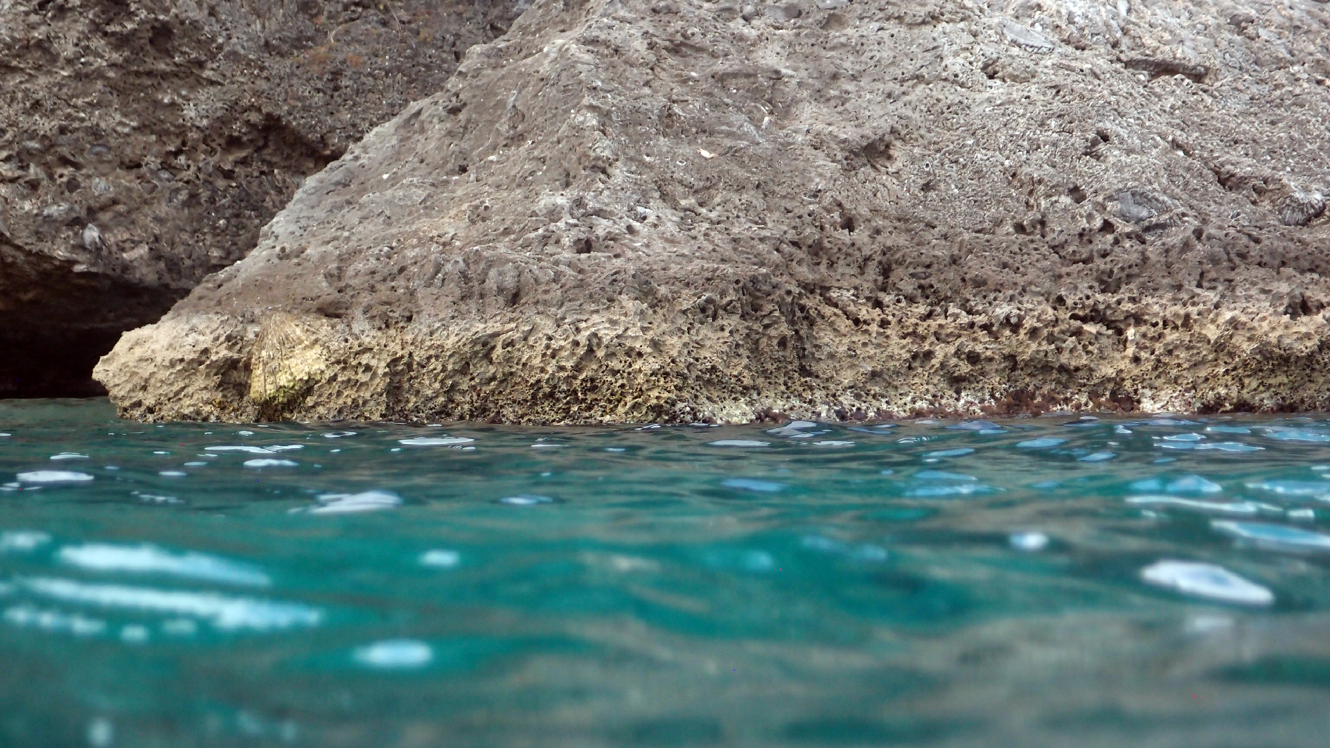 2022-04-14 02 Am Strand und im Wasser (Quallenvideo) (Foto, Video)