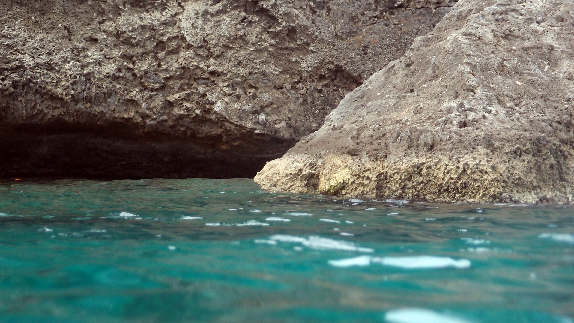 2022-04-14 02 Am Strand und im Wasser (Quallenvideo) (Foto, Video)