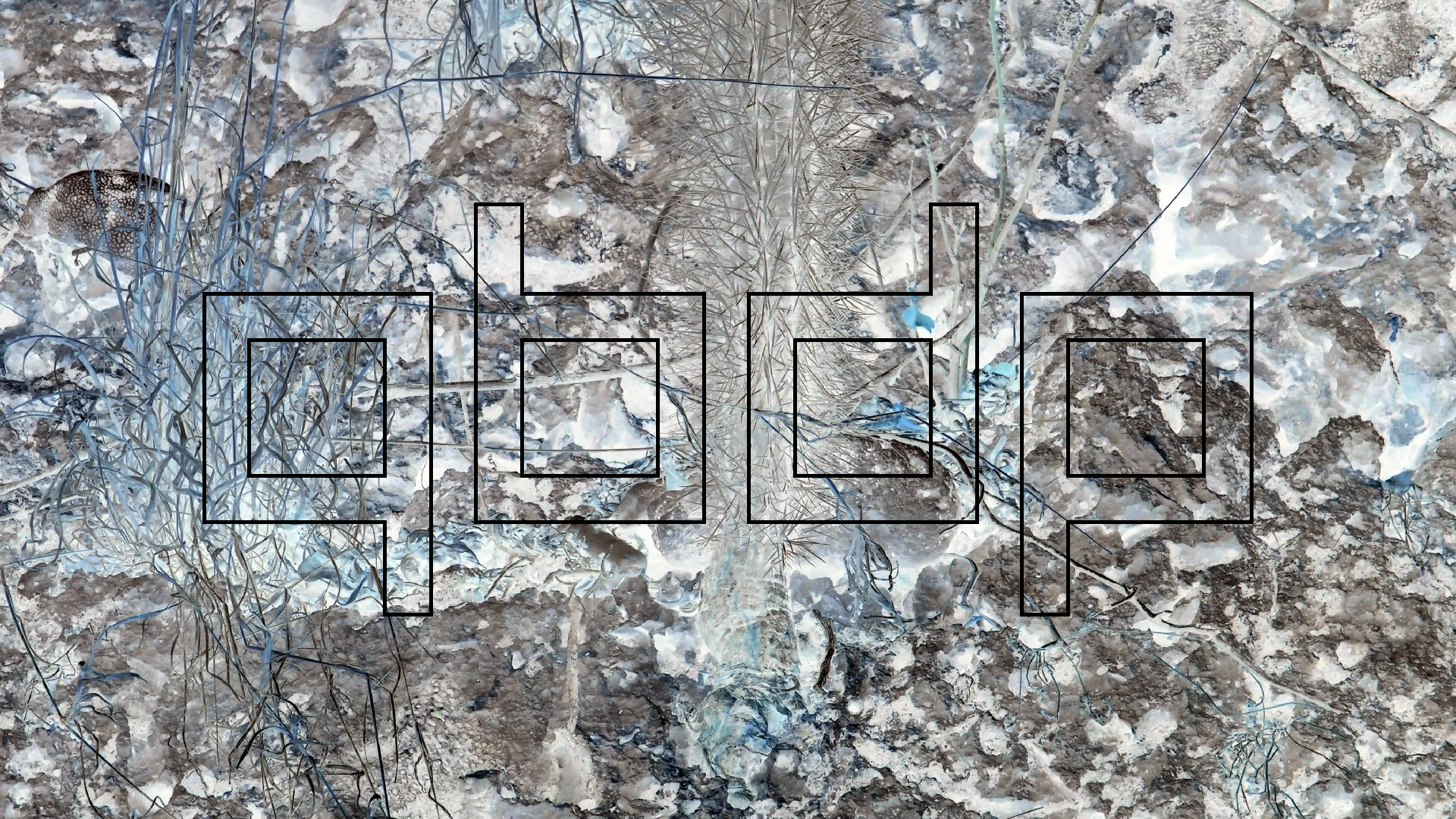 2022-04-14 02 Am Strand und im Wasser (Quallenvideo) (Foto, Video)