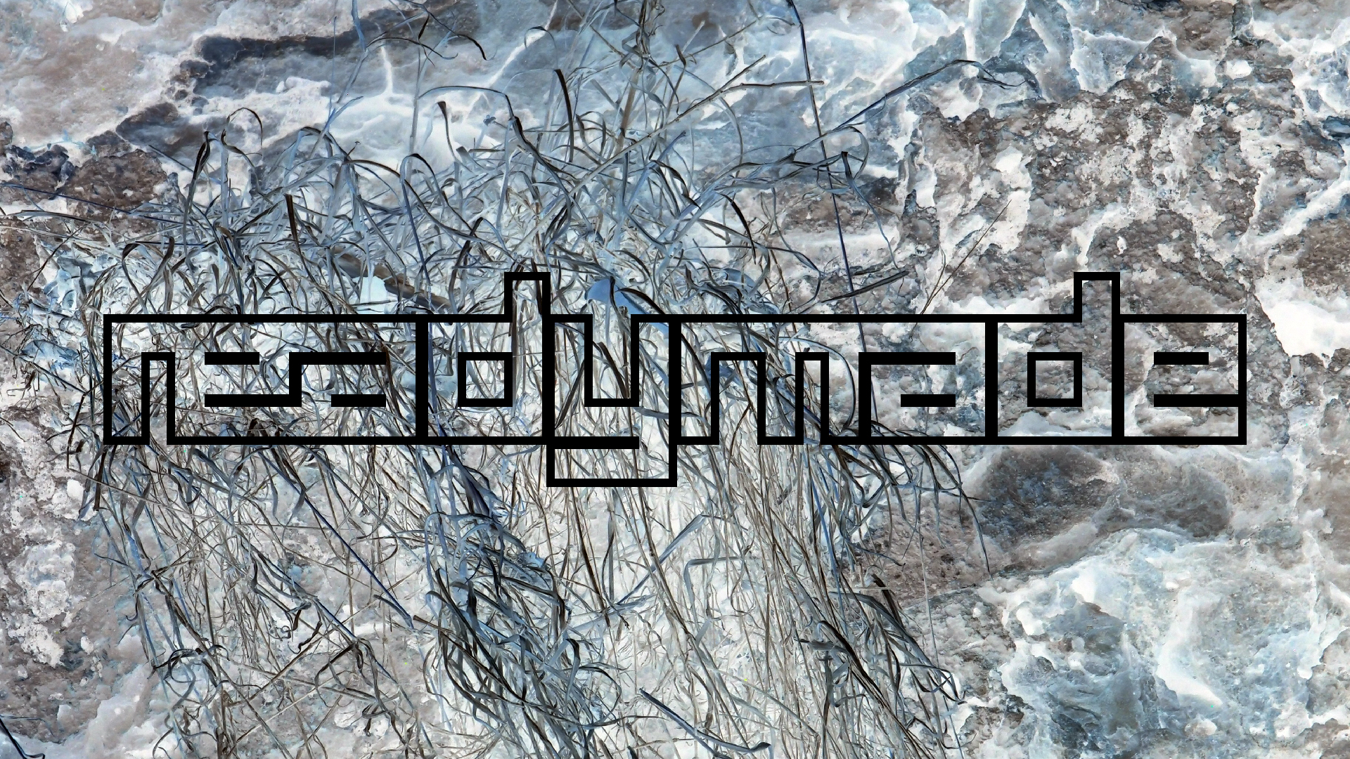 2022-04-14 02 Am Strand und im Wasser (Quallenvideo) (Foto, Video)