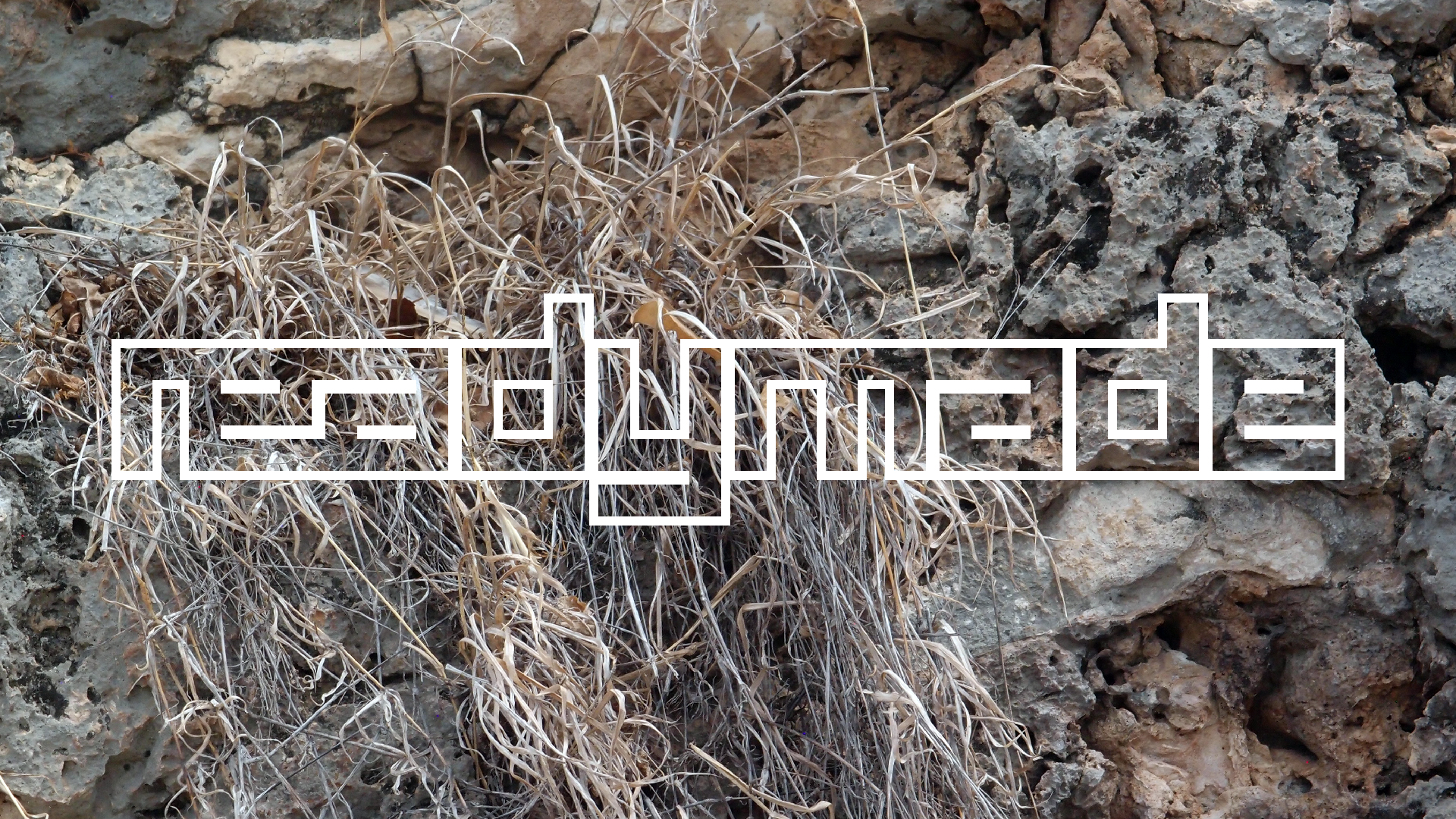 2022-04-14 02 Am Strand und im Wasser (Quallenvideo) (Foto, Video)