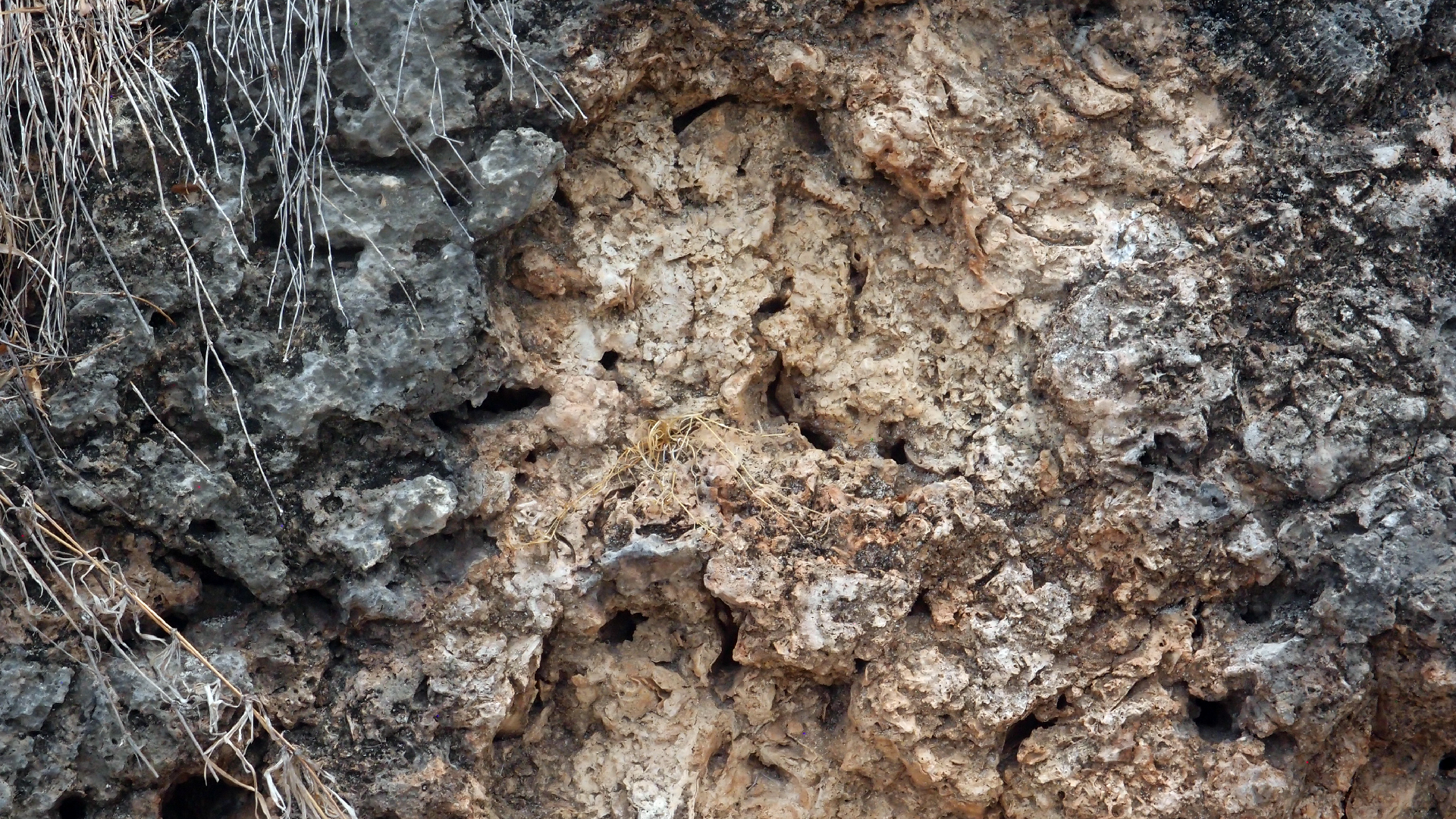 2022-04-14 02 Am Strand und im Wasser (Quallenvideo) (Foto, Video)