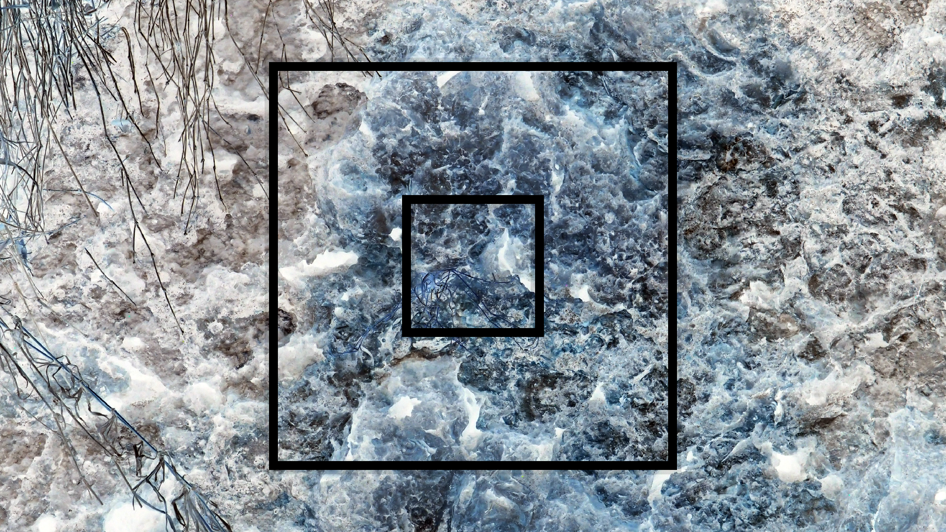 2022-04-14 02 Am Strand und im Wasser (Quallenvideo) (Foto, Video)