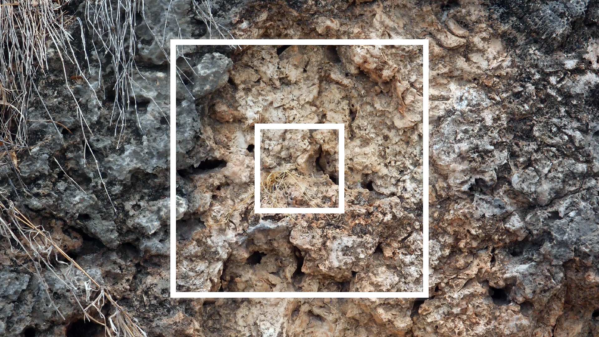 2022-04-14 02 Am Strand und im Wasser (Quallenvideo) (Foto, Video)