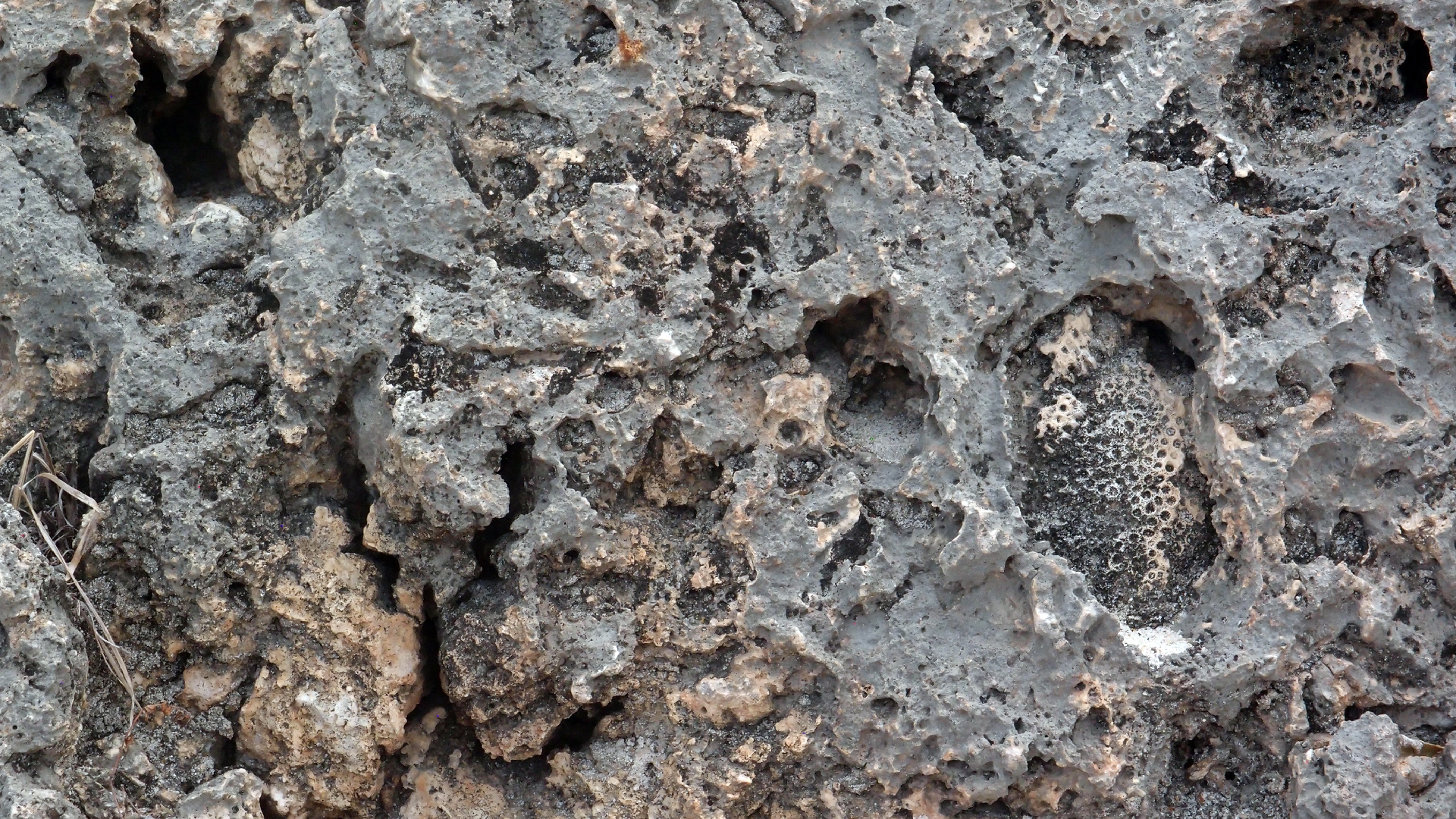 2022-04-14 02 Am Strand und im Wasser (Quallenvideo) (Foto, Video)