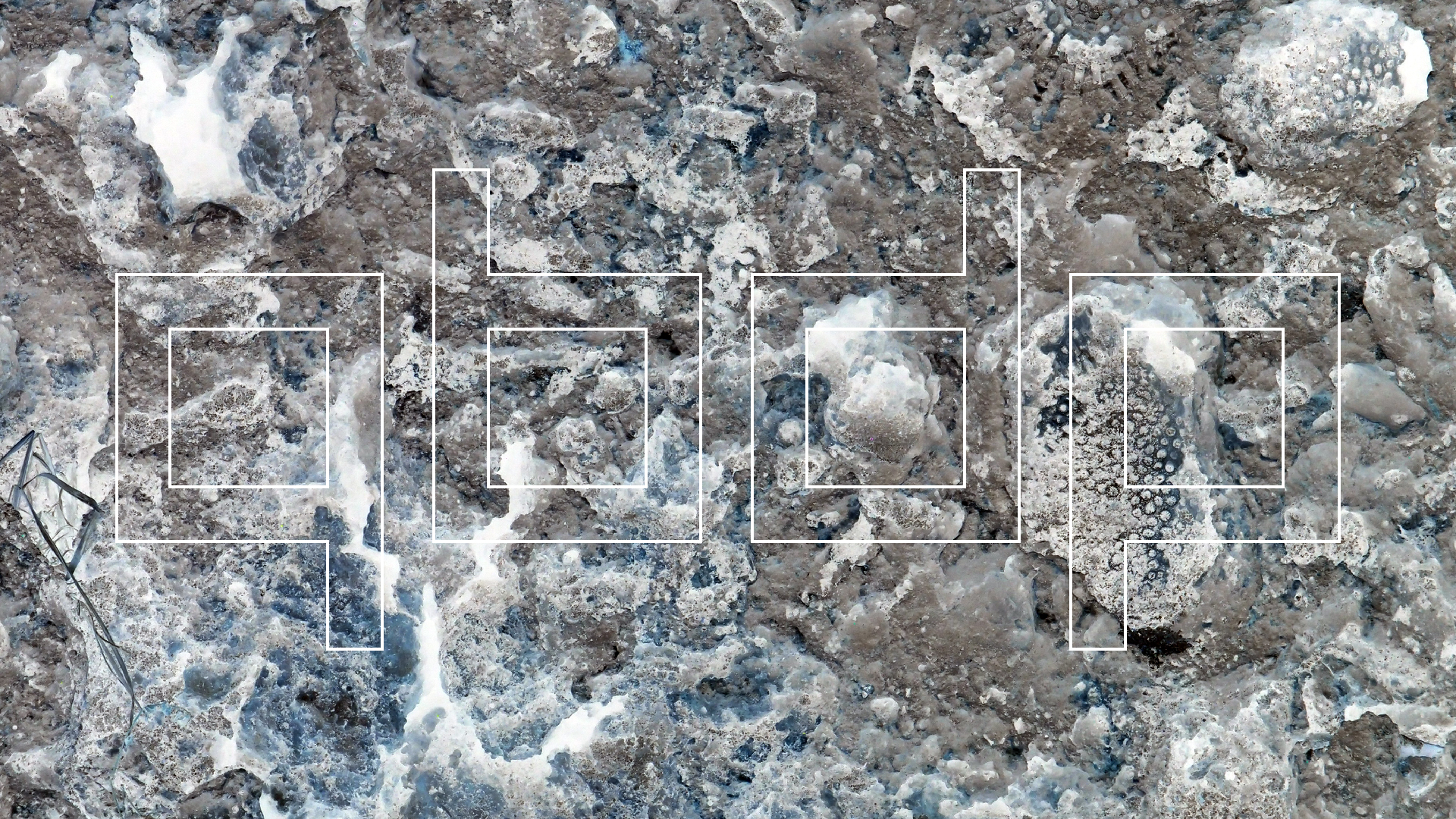 2022-04-14 02 Am Strand und im Wasser (Quallenvideo) (Foto, Video)