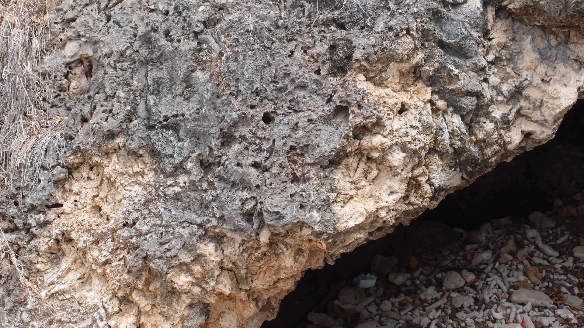 2022-04-14 02 Am Strand und im Wasser (Quallenvideo) (Foto, Video)