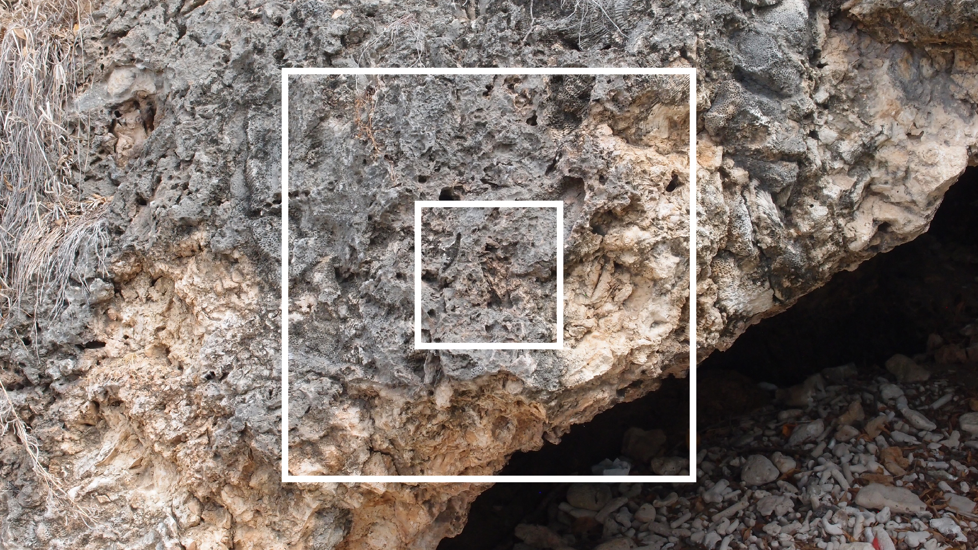 2022-04-14 02 Am Strand und im Wasser (Quallenvideo) (Foto, Video)