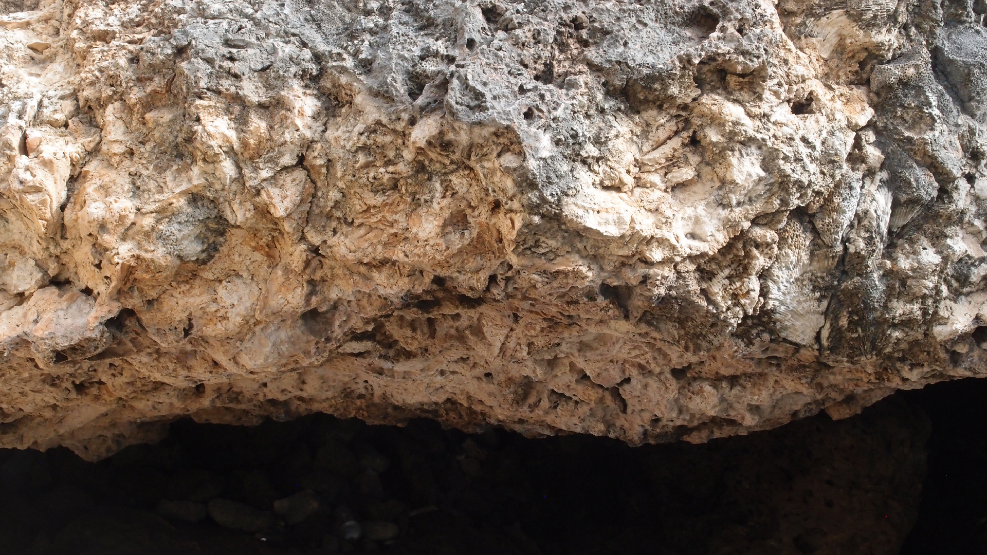 2022-04-14 02 Am Strand und im Wasser (Quallenvideo) (Foto, Video)