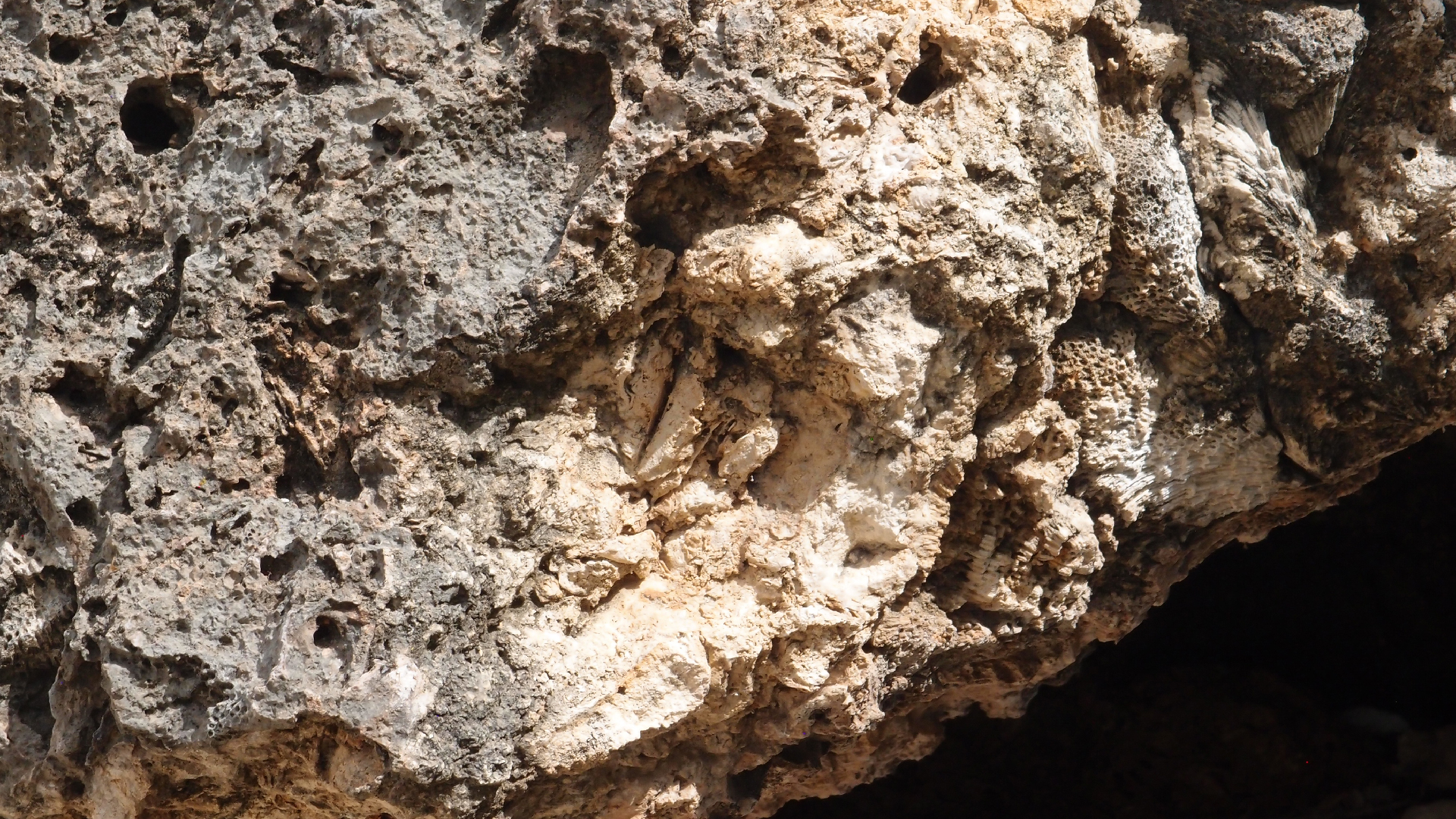 2022-04-14 02 Am Strand und im Wasser (Quallenvideo) (Foto, Video)