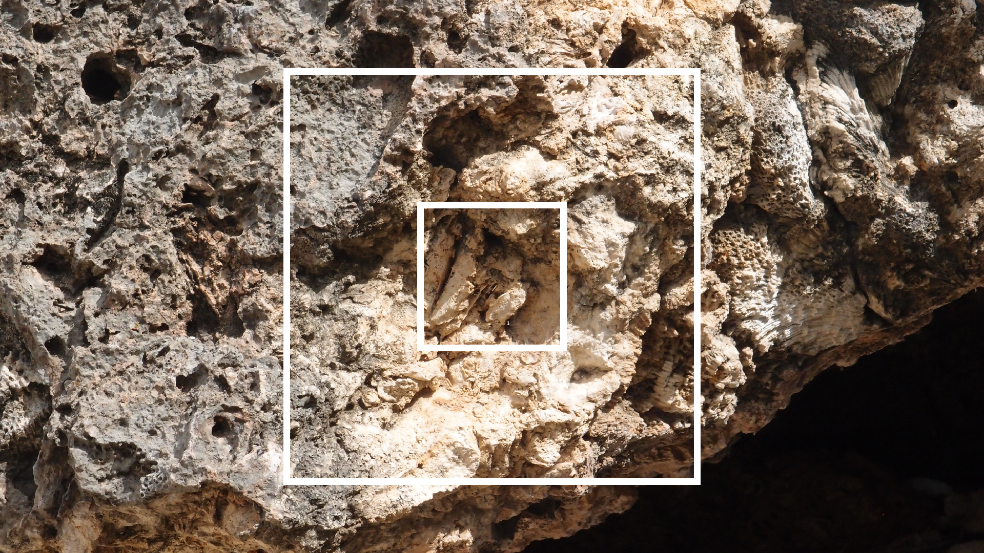 2022-04-14 02 Am Strand und im Wasser (Quallenvideo) (Foto, Video)