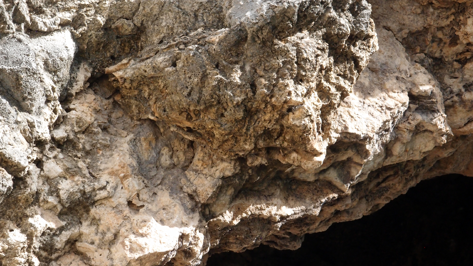 2022-04-14 02 Am Strand und im Wasser (Quallenvideo) (Foto, Video)