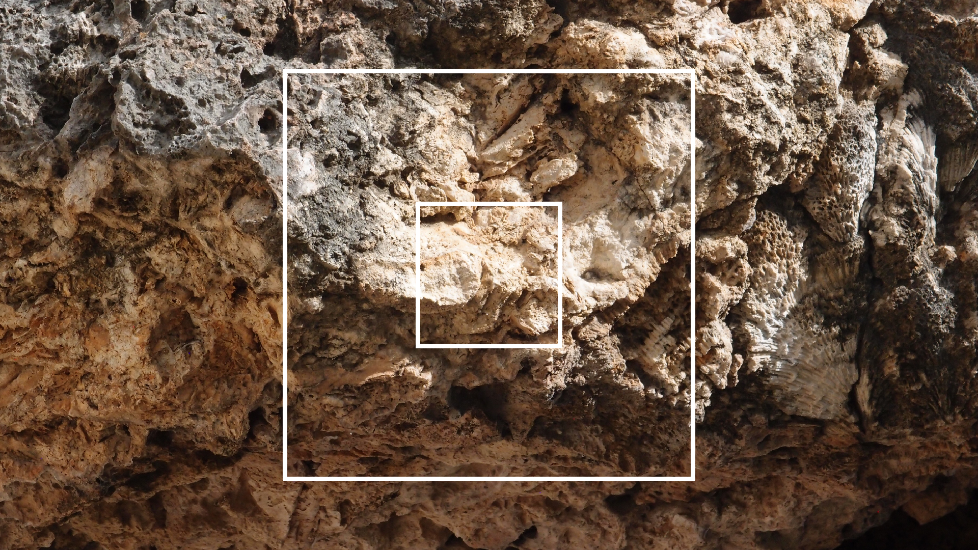 2022-04-14 02 Am Strand und im Wasser (Quallenvideo) (Foto, Video)