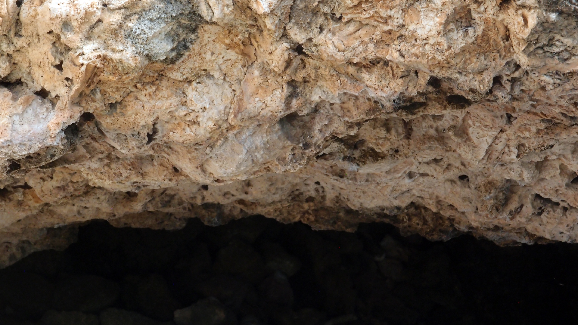 2022-04-14 02 Am Strand und im Wasser (Quallenvideo) (Foto, Video)