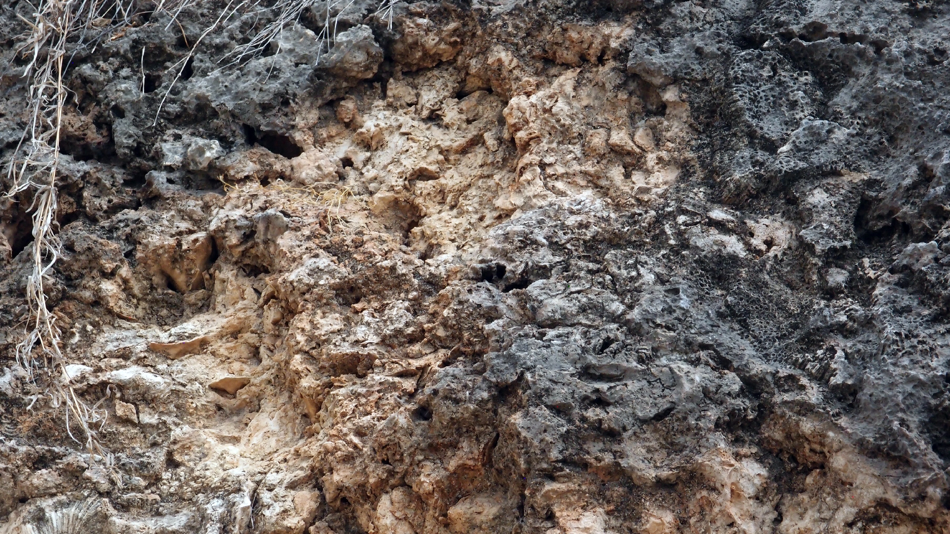 2022-04-14 02 Am Strand und im Wasser (Quallenvideo) (Foto, Video)