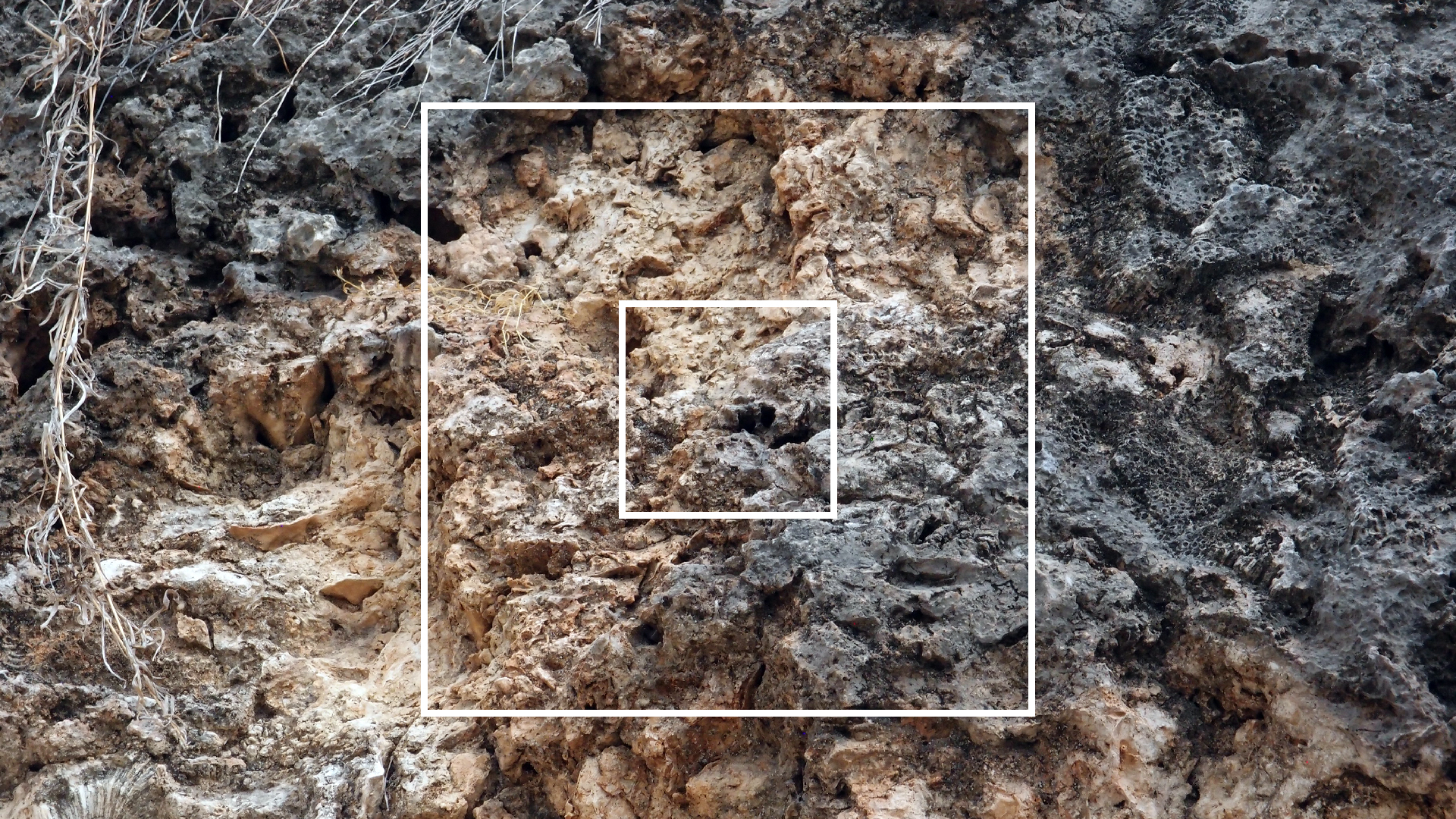 2022-04-14 02 Am Strand und im Wasser (Quallenvideo) (Foto, Video)