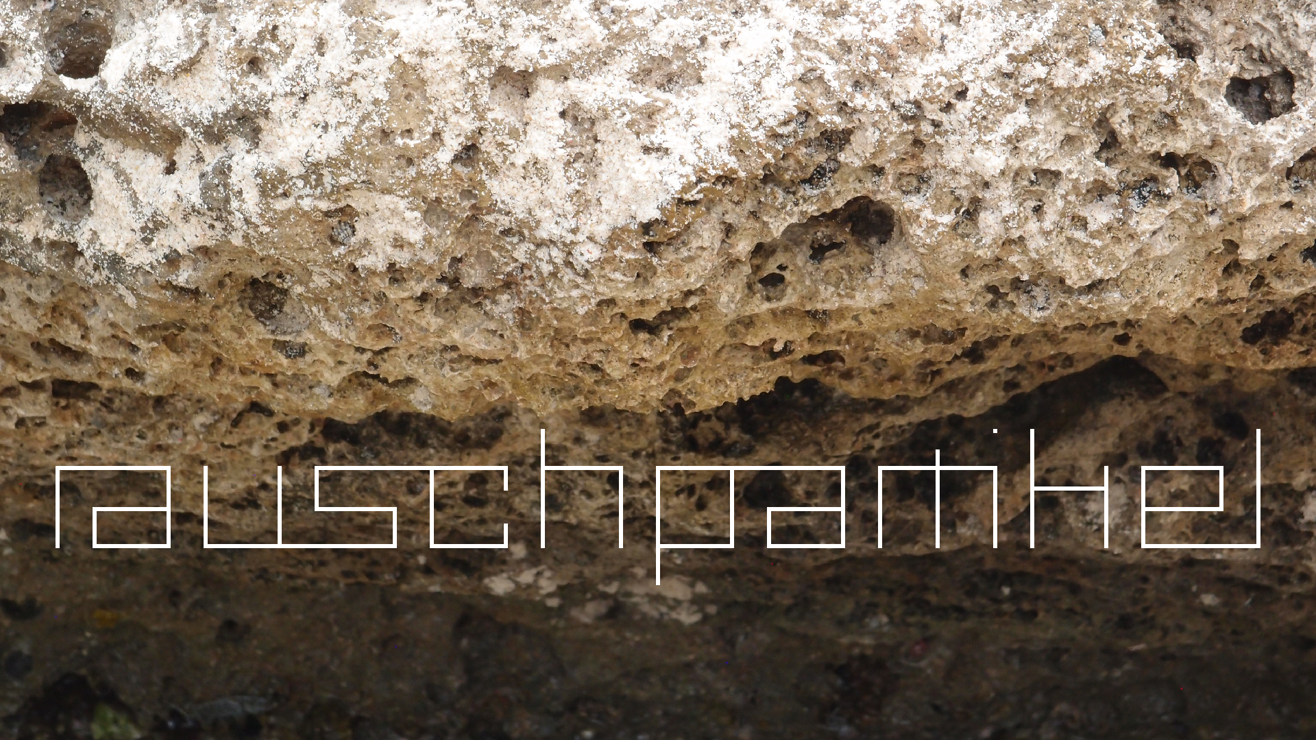 2022-04-14 02 Am Strand und im Wasser (Quallenvideo) (Foto, Video)