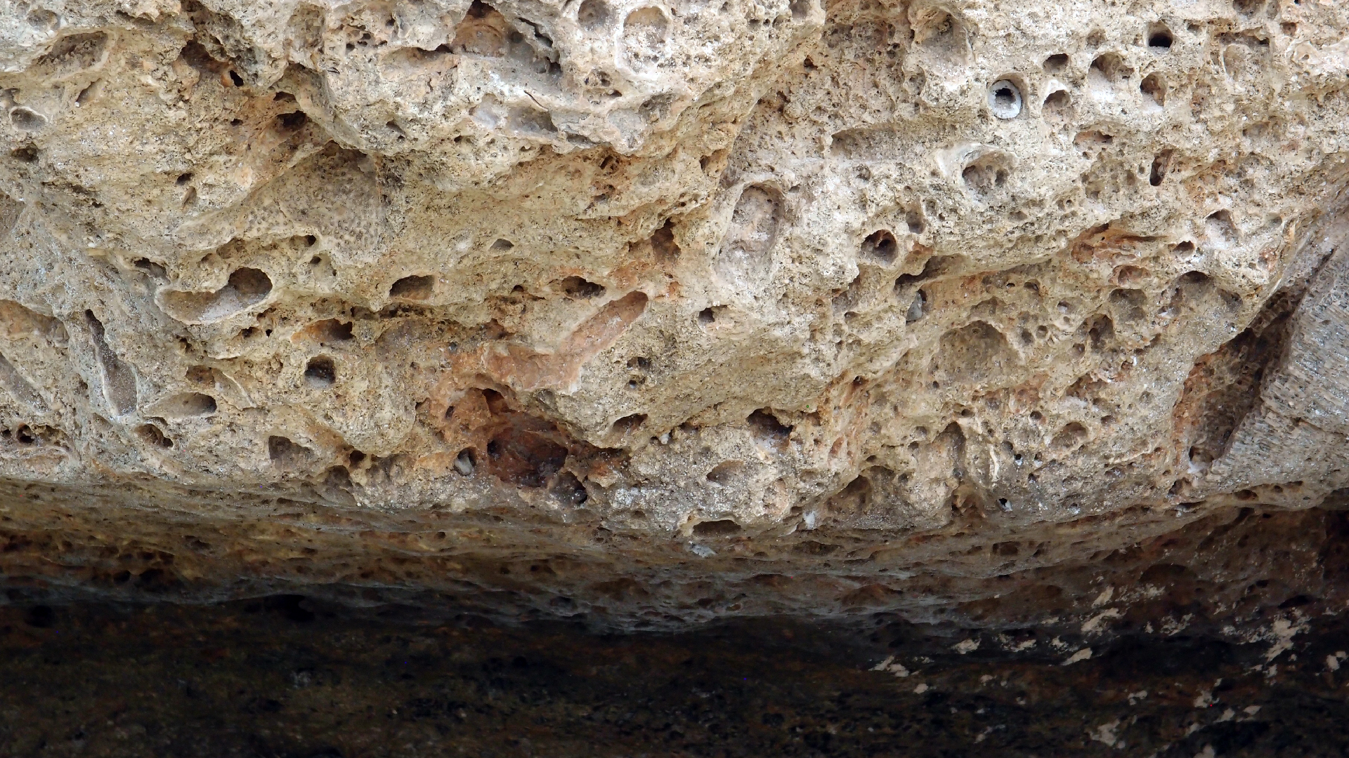 2022-04-14 02 Am Strand und im Wasser (Quallenvideo) (Foto, Video)