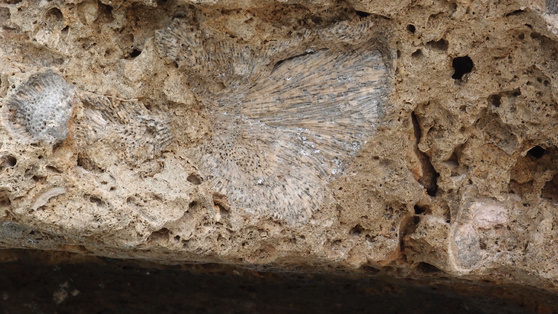 2022-04-14 02 Am Strand und im Wasser (Quallenvideo) (Foto, Video)