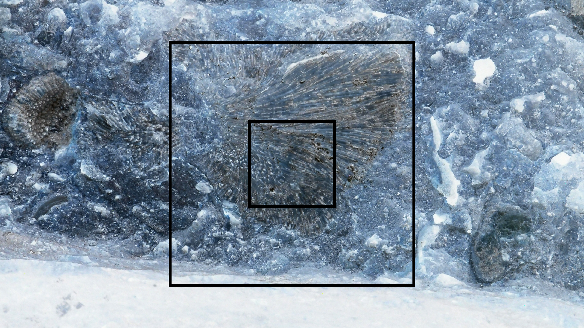 2022-04-14 02 Am Strand und im Wasser (Quallenvideo) (Foto, Video)