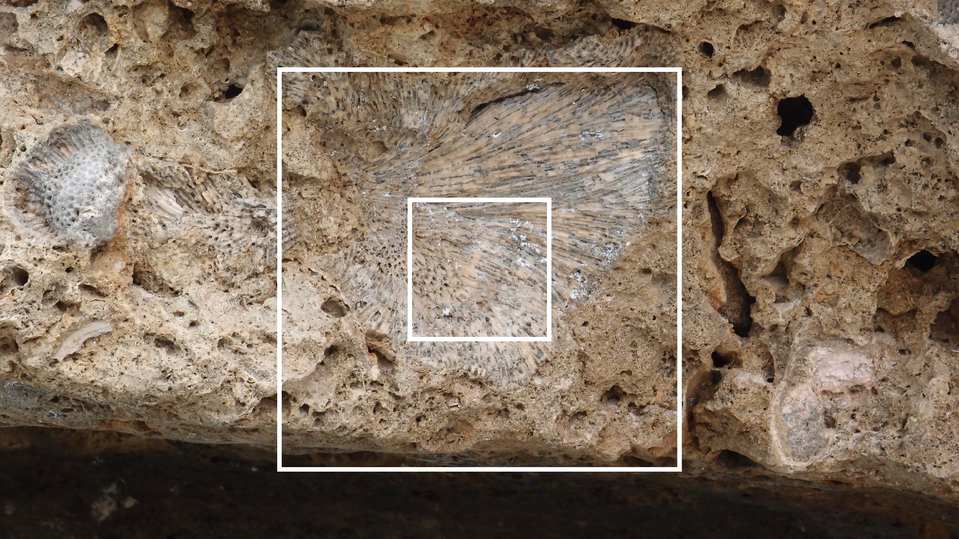 2022-04-14 02 Am Strand und im Wasser (Quallenvideo) (Foto, Video)