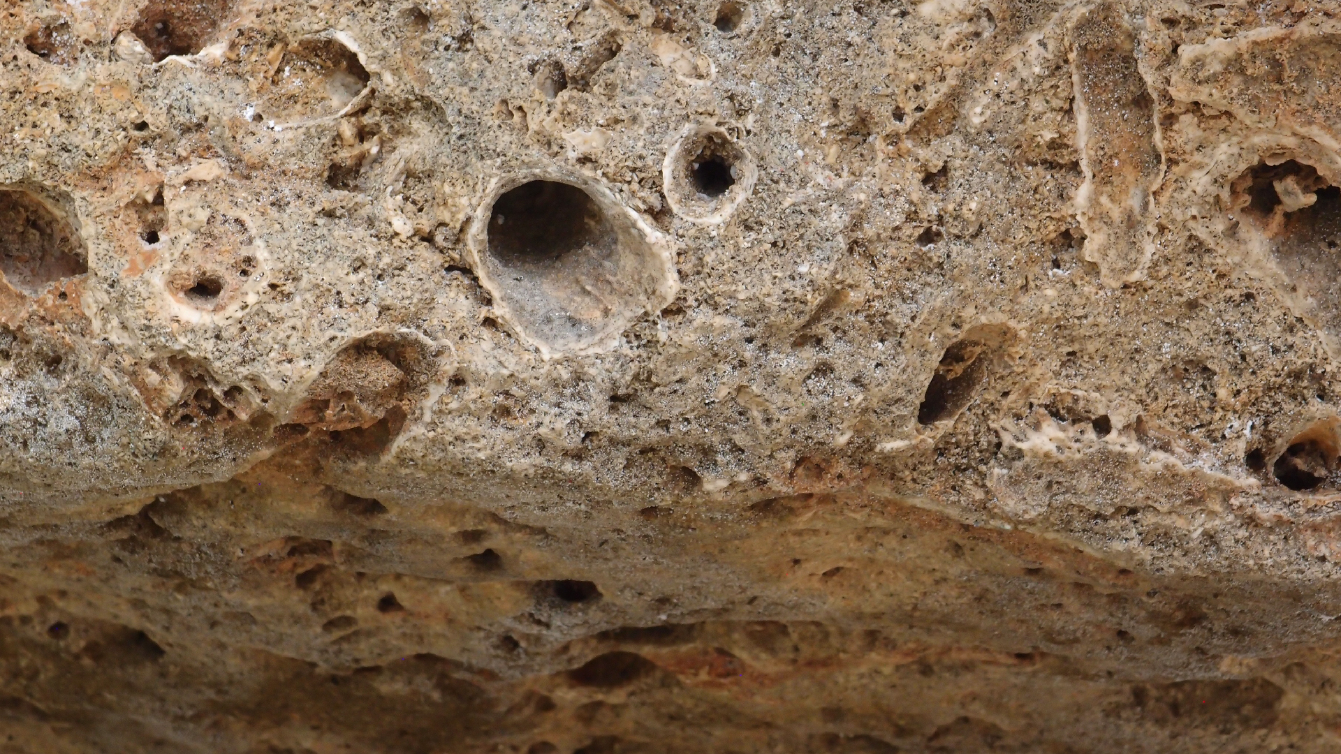 2022-04-14 02 Am Strand und im Wasser (Quallenvideo) (Foto, Video)