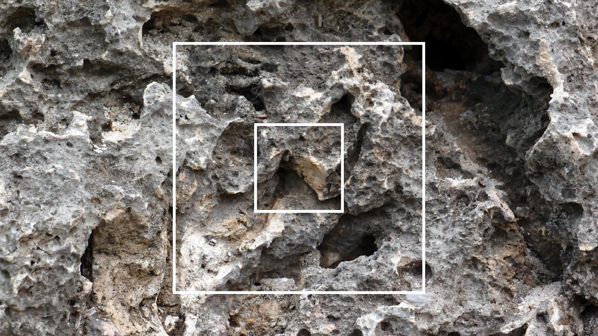 2022-04-14 02 Am Strand und im Wasser (Quallenvideo) (Foto, Video)