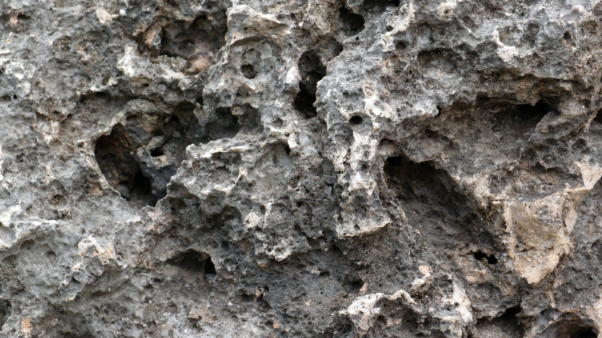 2022-04-14 02 Am Strand und im Wasser (Quallenvideo) (Foto, Video)