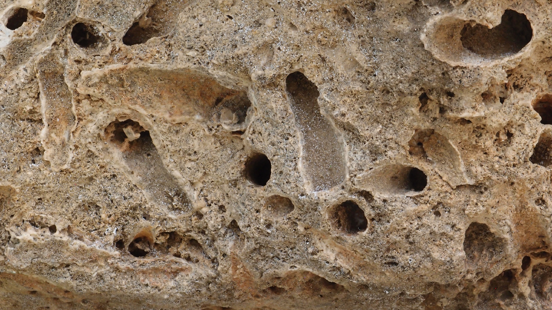 2022-04-14 02 Am Strand und im Wasser (Quallenvideo) (Foto, Video)