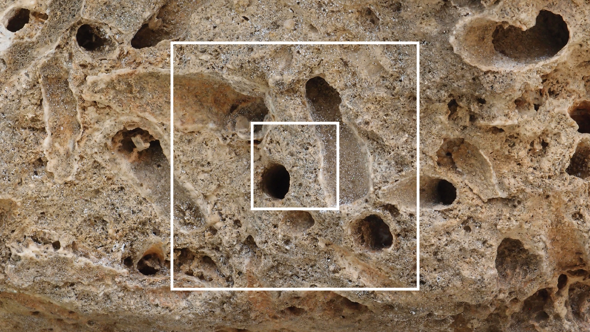 2022-04-14 02 Am Strand und im Wasser (Quallenvideo) (Foto, Video)