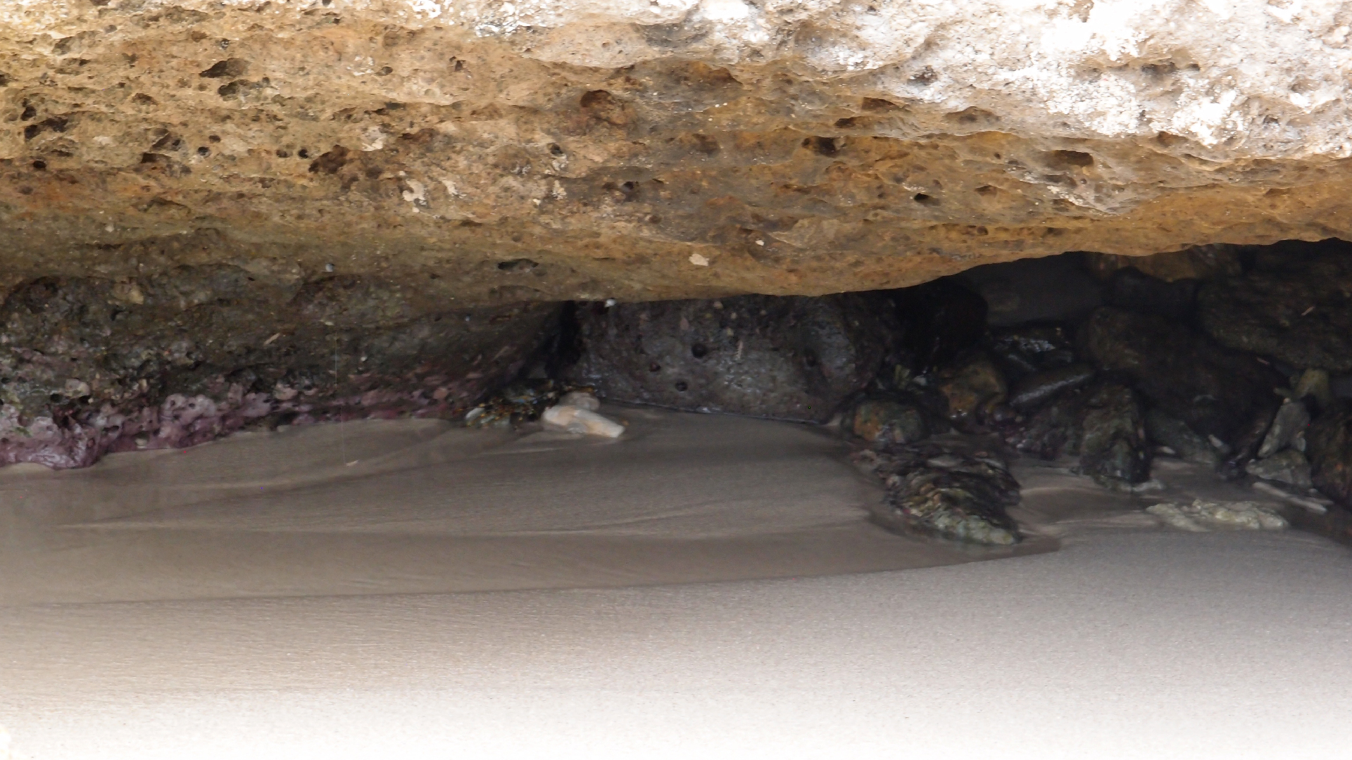 2022-04-14 02 Am Strand und im Wasser (Quallenvideo) (Foto, Video)