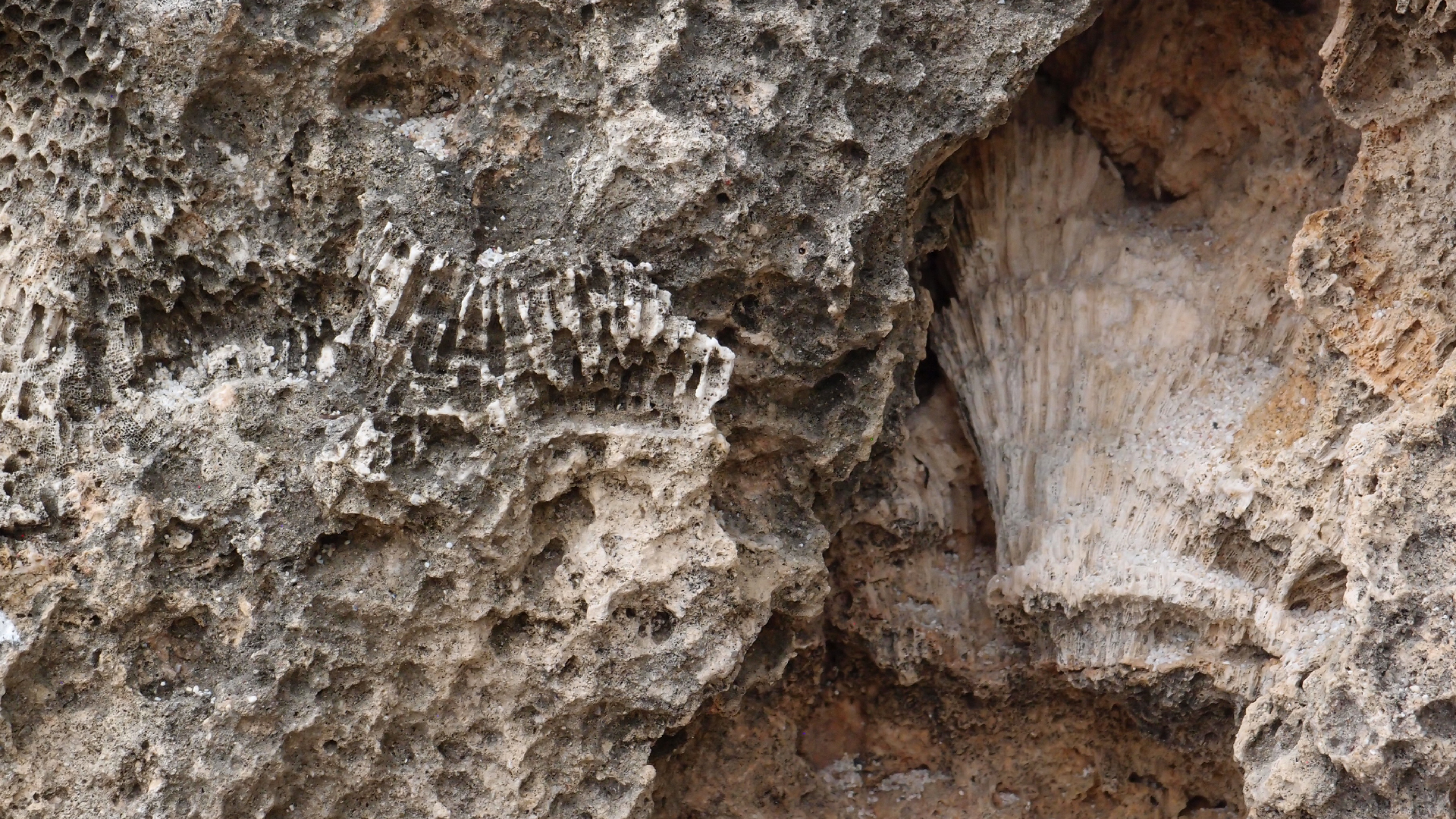 2022-04-14 02 Am Strand und im Wasser (Quallenvideo) (Foto, Video)